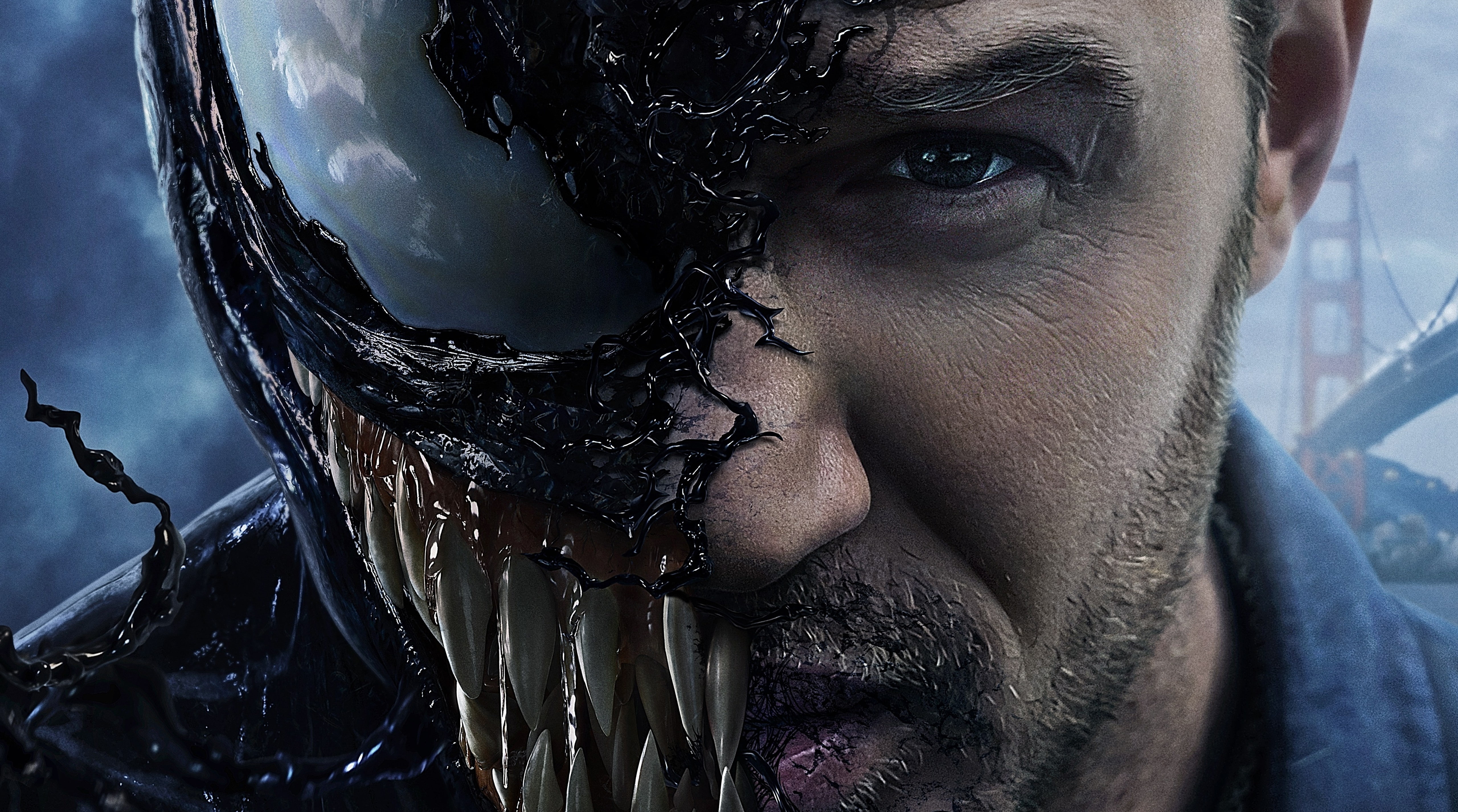 mid adult men, Superhero, men, young adult, adult, Other Movies, human face, TomHardy, 5K, 2018, beard, real people, leisure activity, looking at camera, HD Wallpaper
