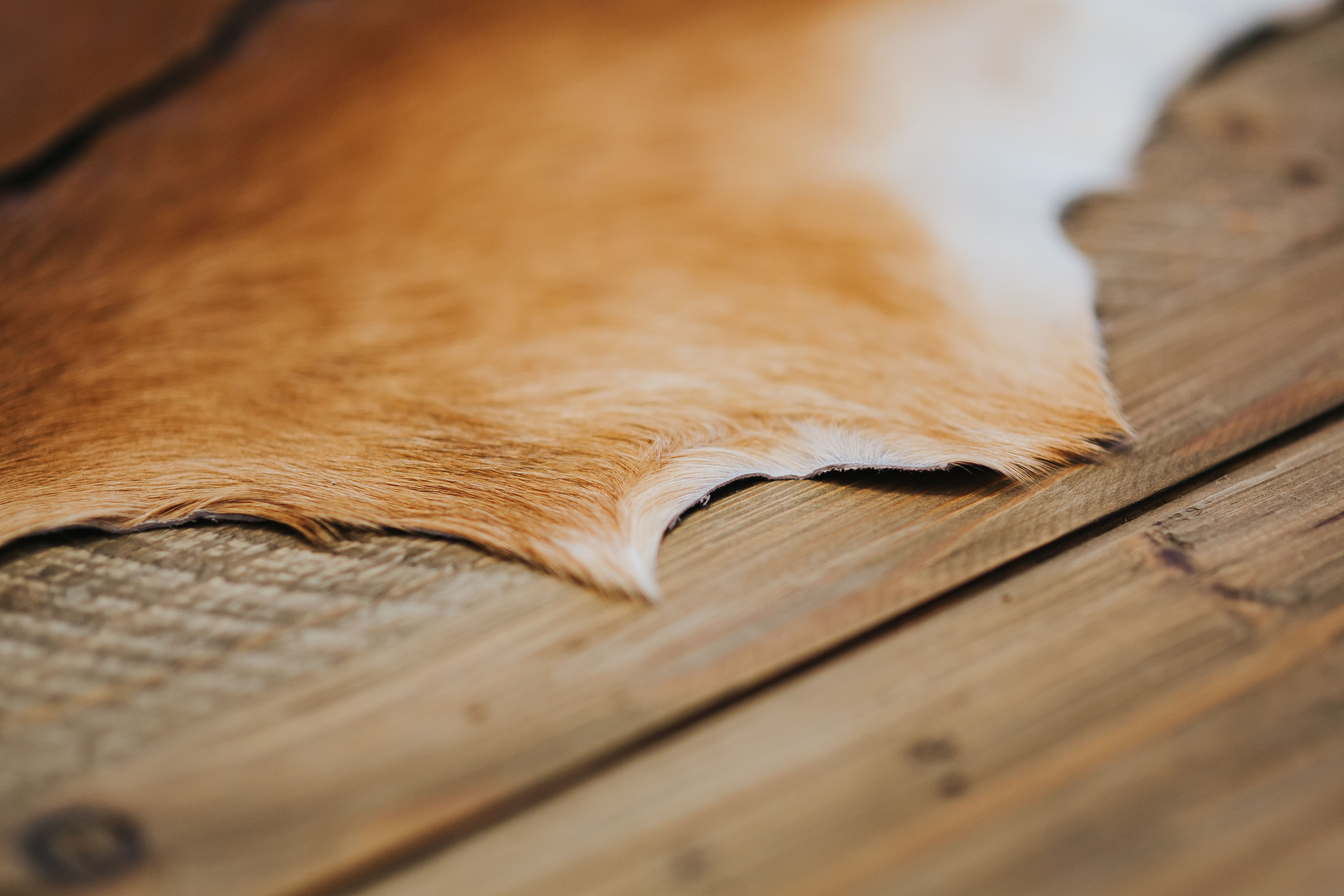 nature, beautiful, 5K, no people, old-fashioned, day, items, pattern, brown, wood - Material, old, plank, close-up, still life, table, backgrounds, selective focus, HD Wallpaper