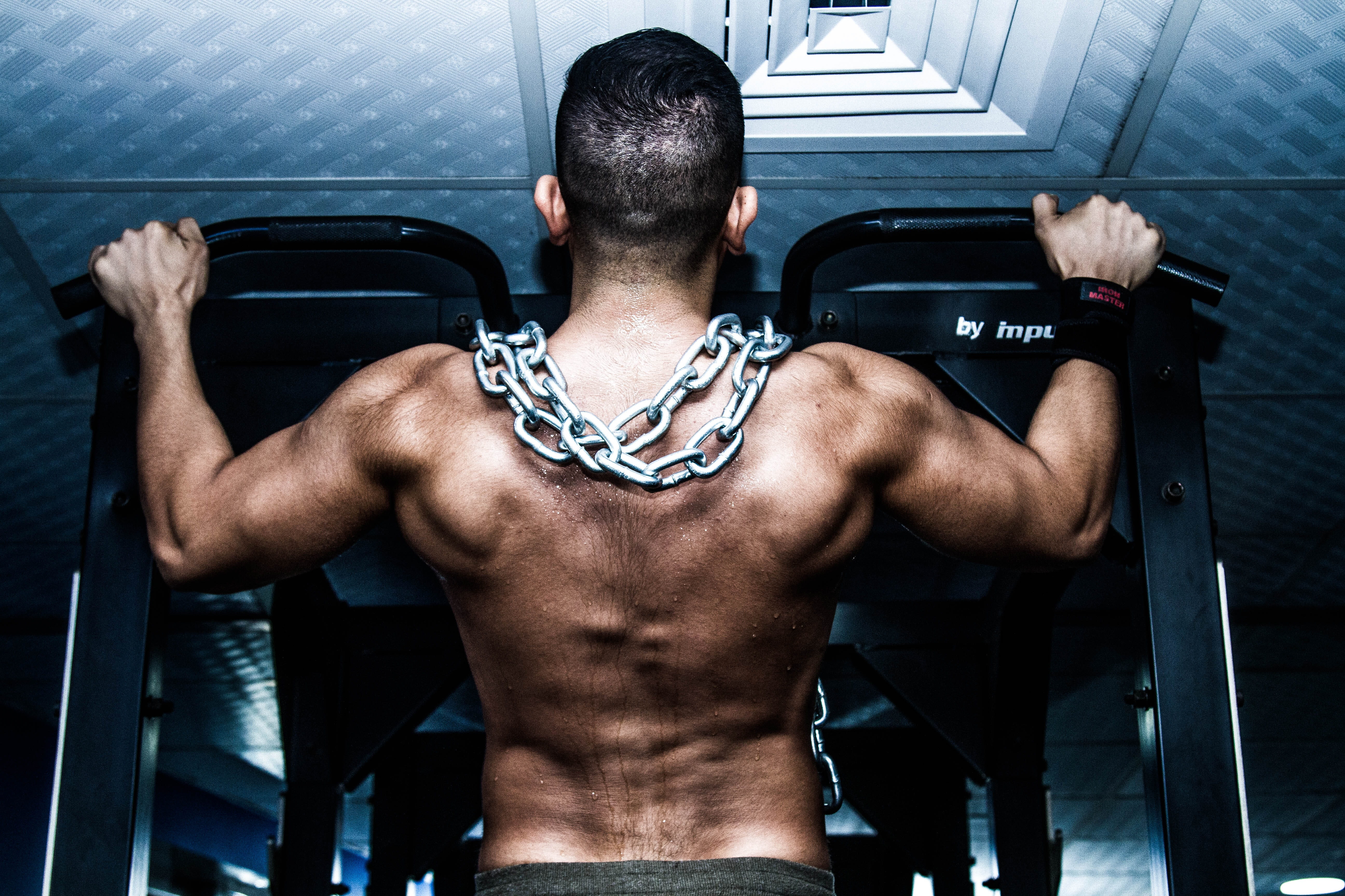 mature men, human muscle, man, athlete, wellbeing, sports training, exercising, strength, weight training, one person, adult, bicep, rear view, 5K, exercise equipment, HD Wallpaper