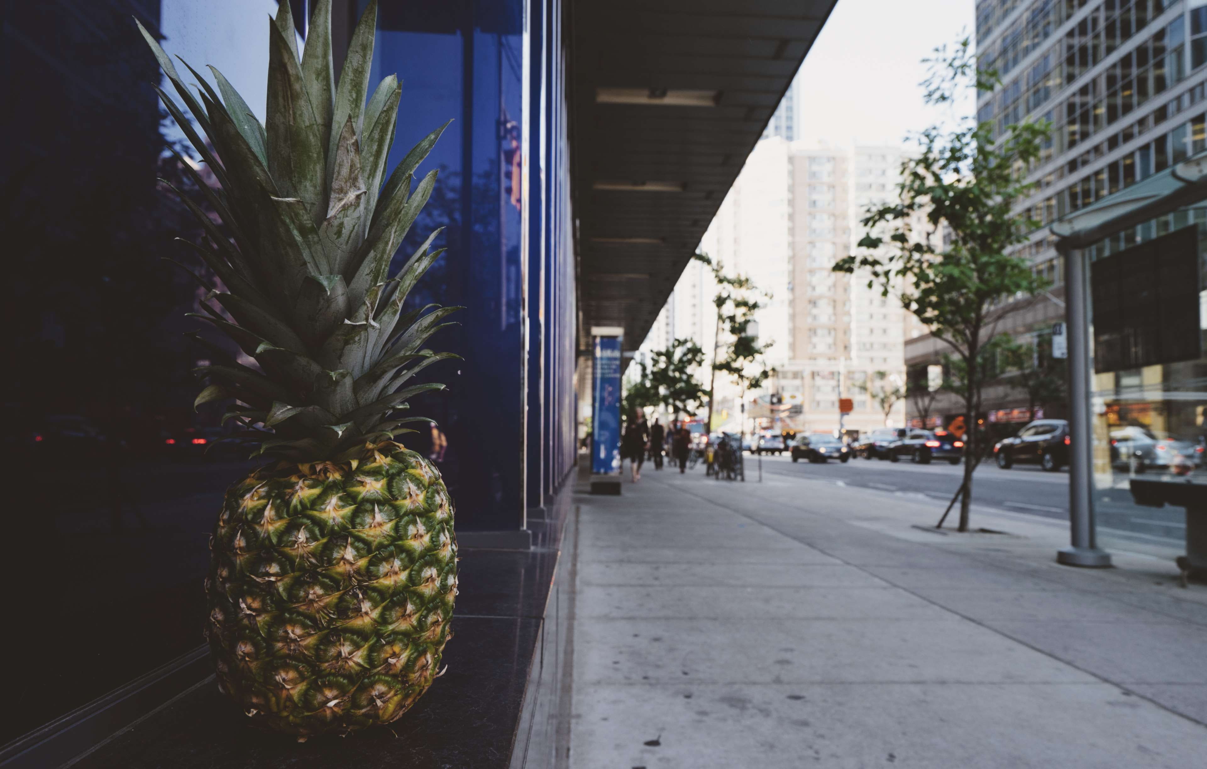 tree, modern, travel, fruit, pineapple, town, ve, city, summer, freshness, finance, road, outdoors, people, business, built structure, tropical fruit, buildings, HD Wallpaper