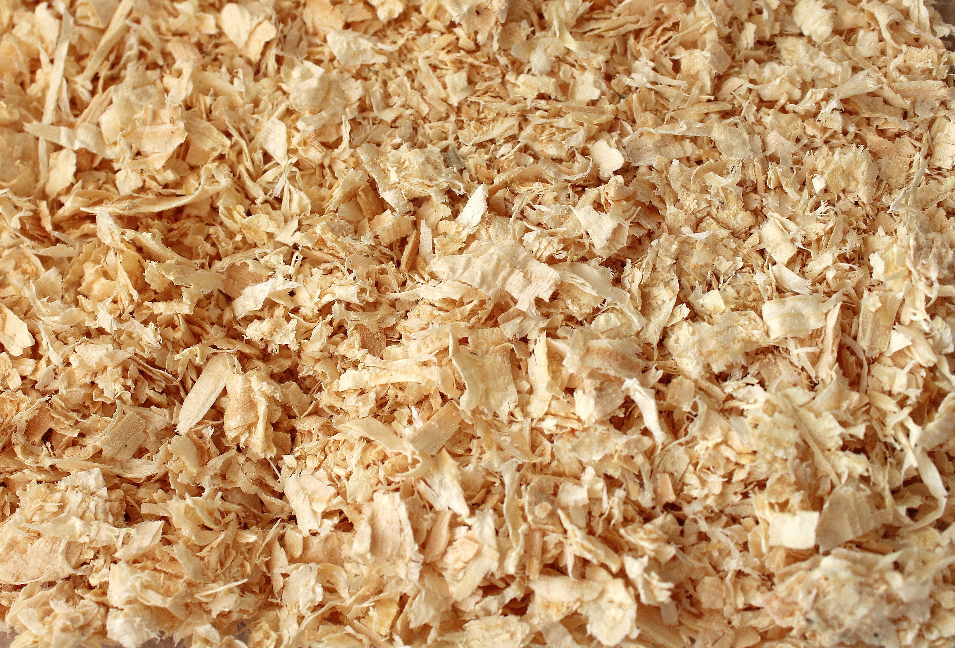 dry, texture, snack, still life, large group of objects, food, abundance, 4K, waste, plant part, freshness, shavings, nature, wellbeing, sawdust, HD Wallpaper