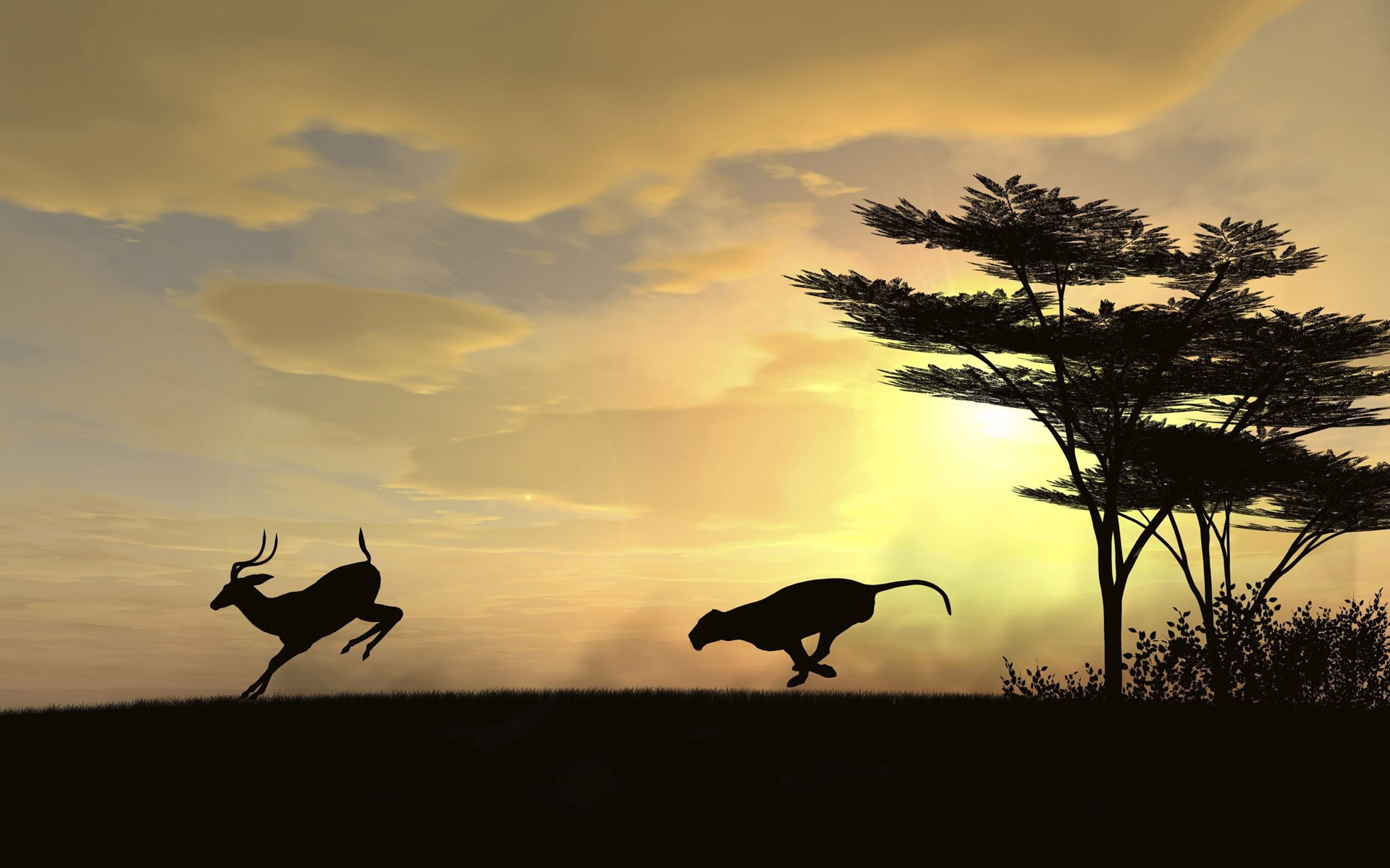 clouds, deer, leopard (animal), sunset, trees, gazelle, 1080P, HD Wallpaper