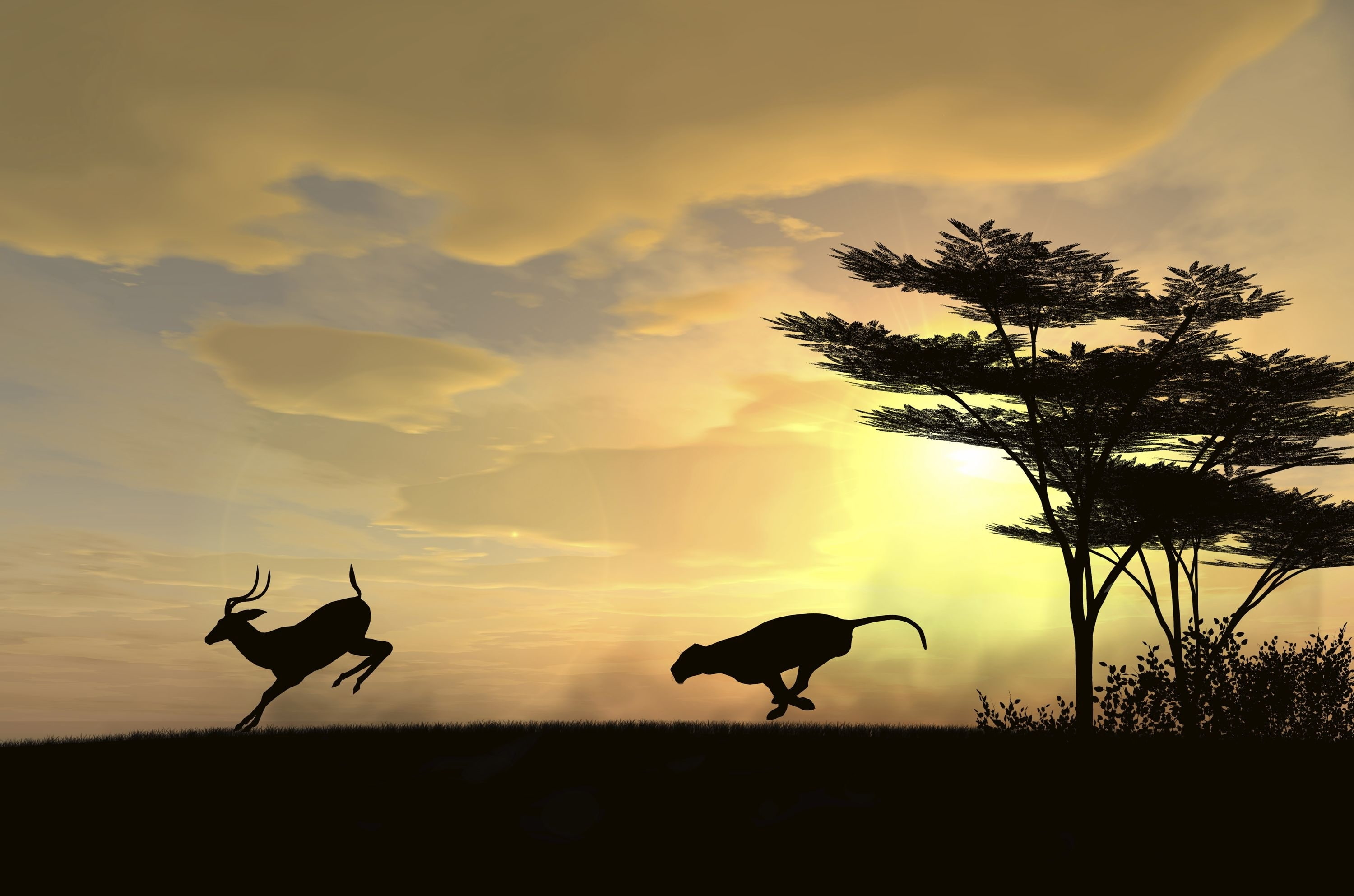 mammal, predator, silhouette, gazelle, herbivorous, cloud - sky, tree, scenics - nature, flying, the sun, group of animals, bird, animal wildlife, animals in the wild, HD Wallpaper