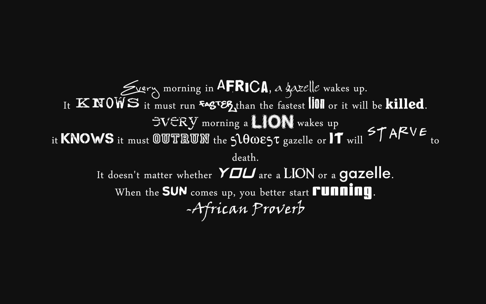 the conditions of survival, Leo, words, African proverb, laws, letters, phrase, 720P, Gazelle, minimalism, HD Wallpaper