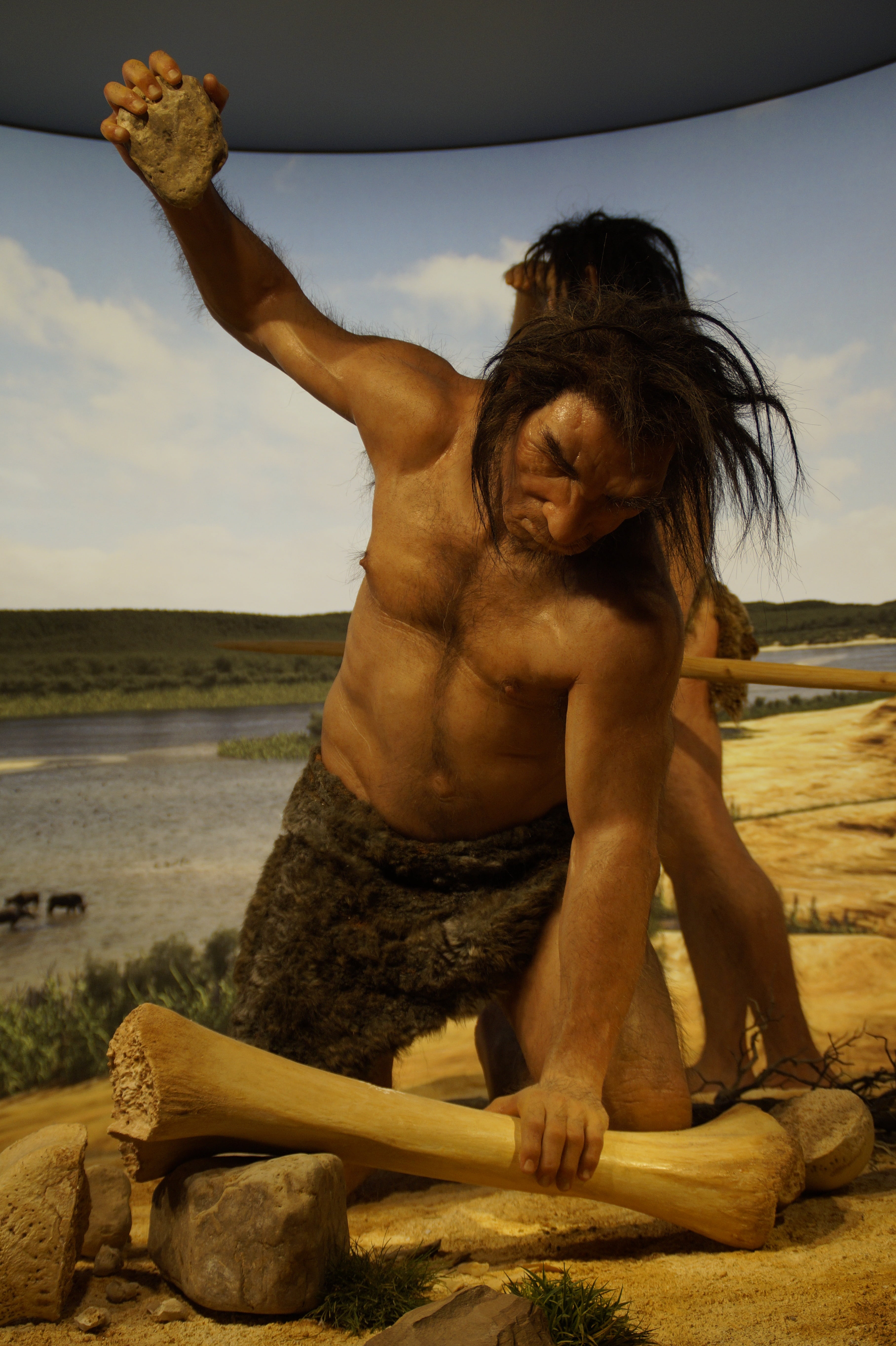 beach, hunting, lifestyles, stone age, caveman, hunt, leisure activity, nature, land, day, human arm, tool, full length, hairstyle, sea, invention, editing, Phone HD Wallpaper