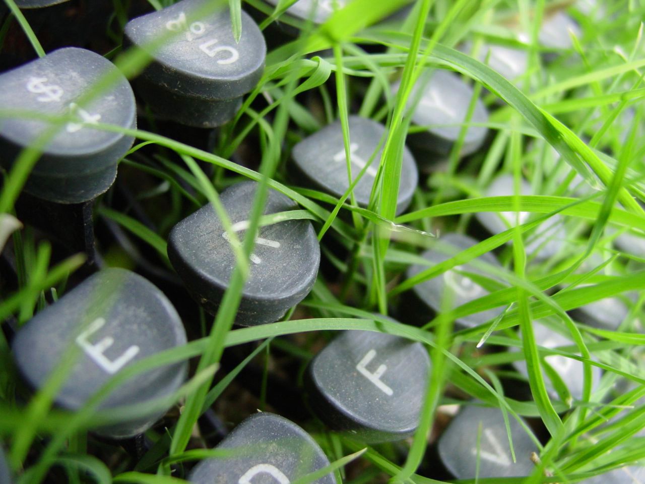 plants, grass, 720P, outdoors, typewriters, HD Wallpaper