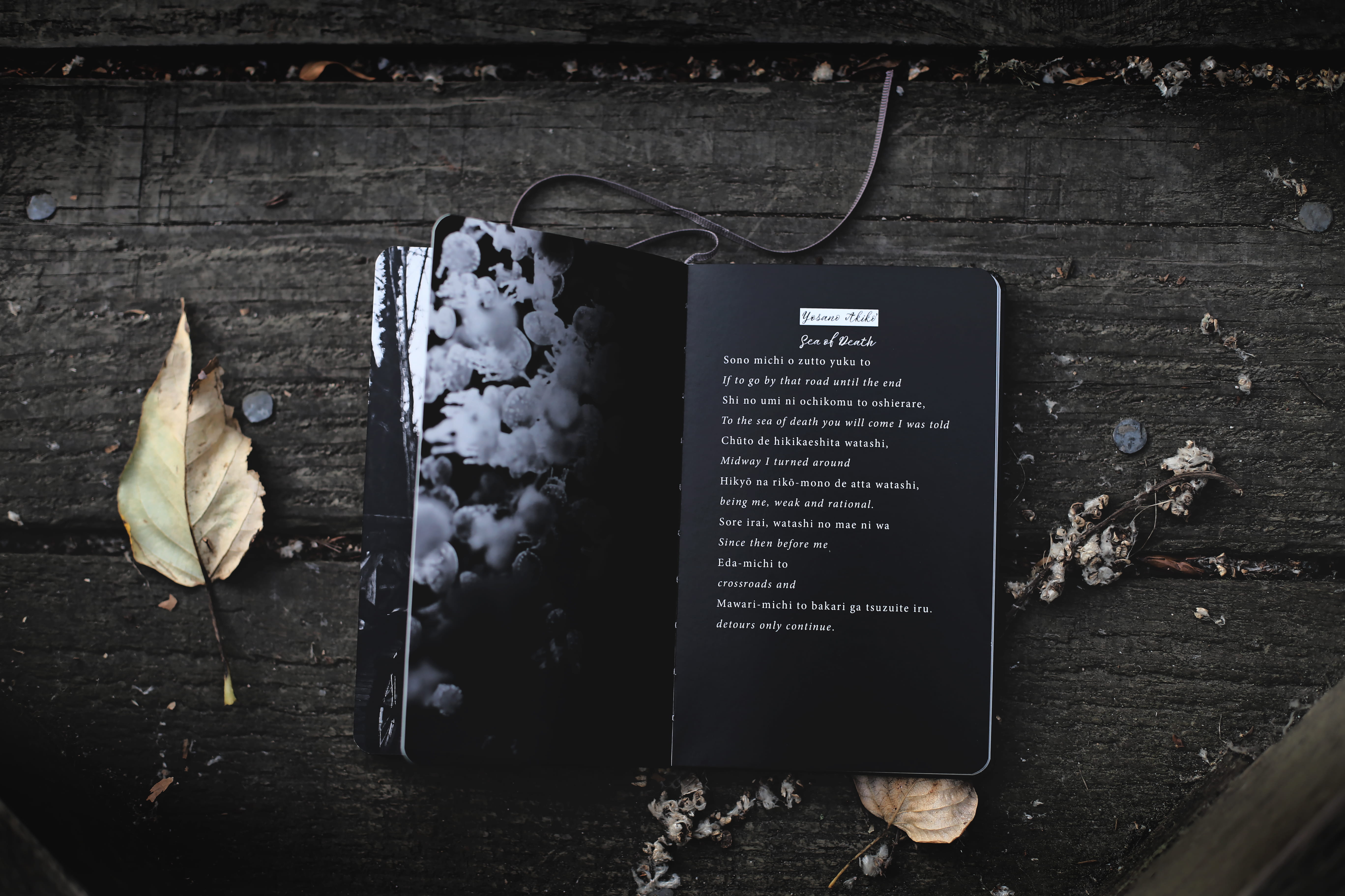 wooden, reading, book, fall, retro Styled, old-fashioned, moleskine, poetry, backgrounds, story, notebook, writing, black, old, nature, autumn, audio, wood - Material, HD Wallpaper