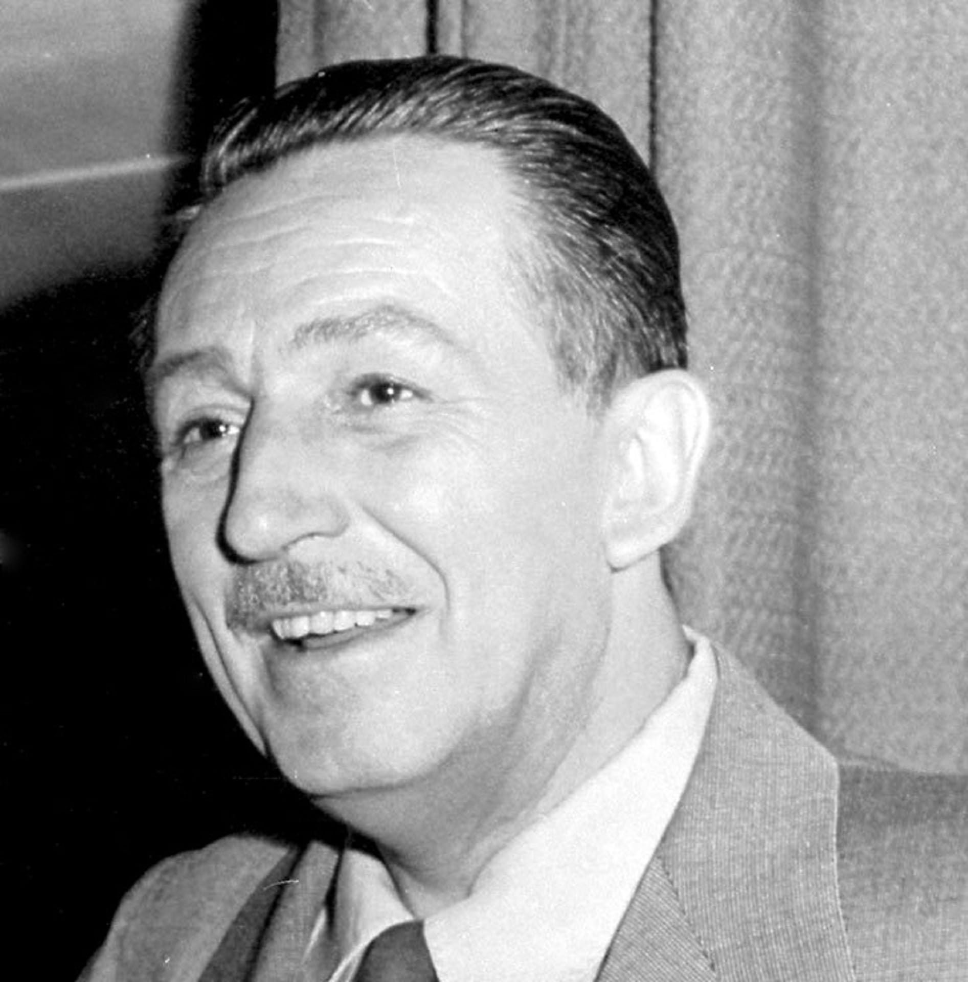 disney world, theme parks, icon, portrait, one person, happiness, real people, smiling, innovator, co-founder walt disney co, cartoon characters, philanthropist, Phone HD Wallpaper