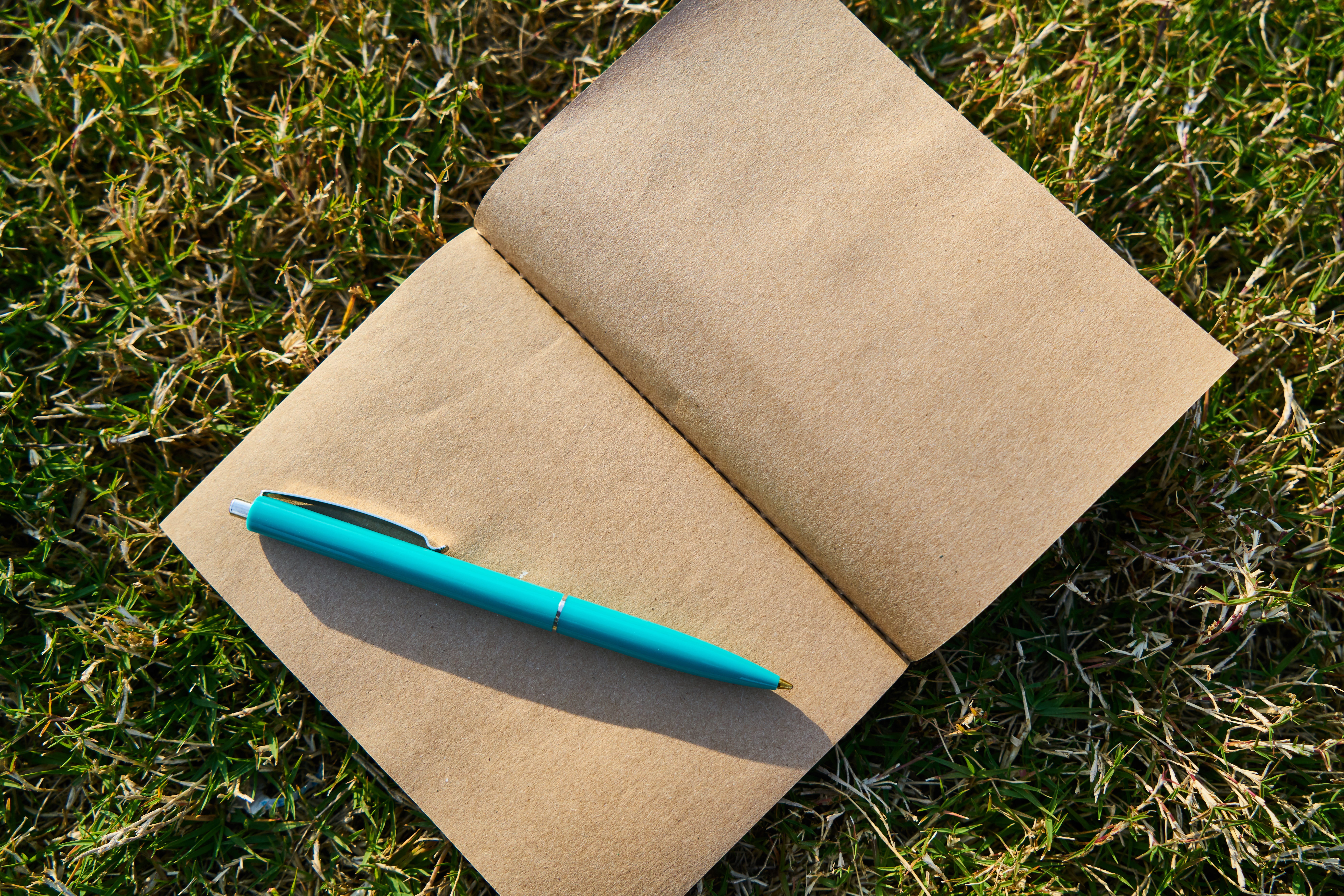 page, 8K, notebook, plant, lawn, field, no people, retro, technology, book, the work, blue, author, land, note, high angle view, blank, day, course, paper, HD Wallpaper