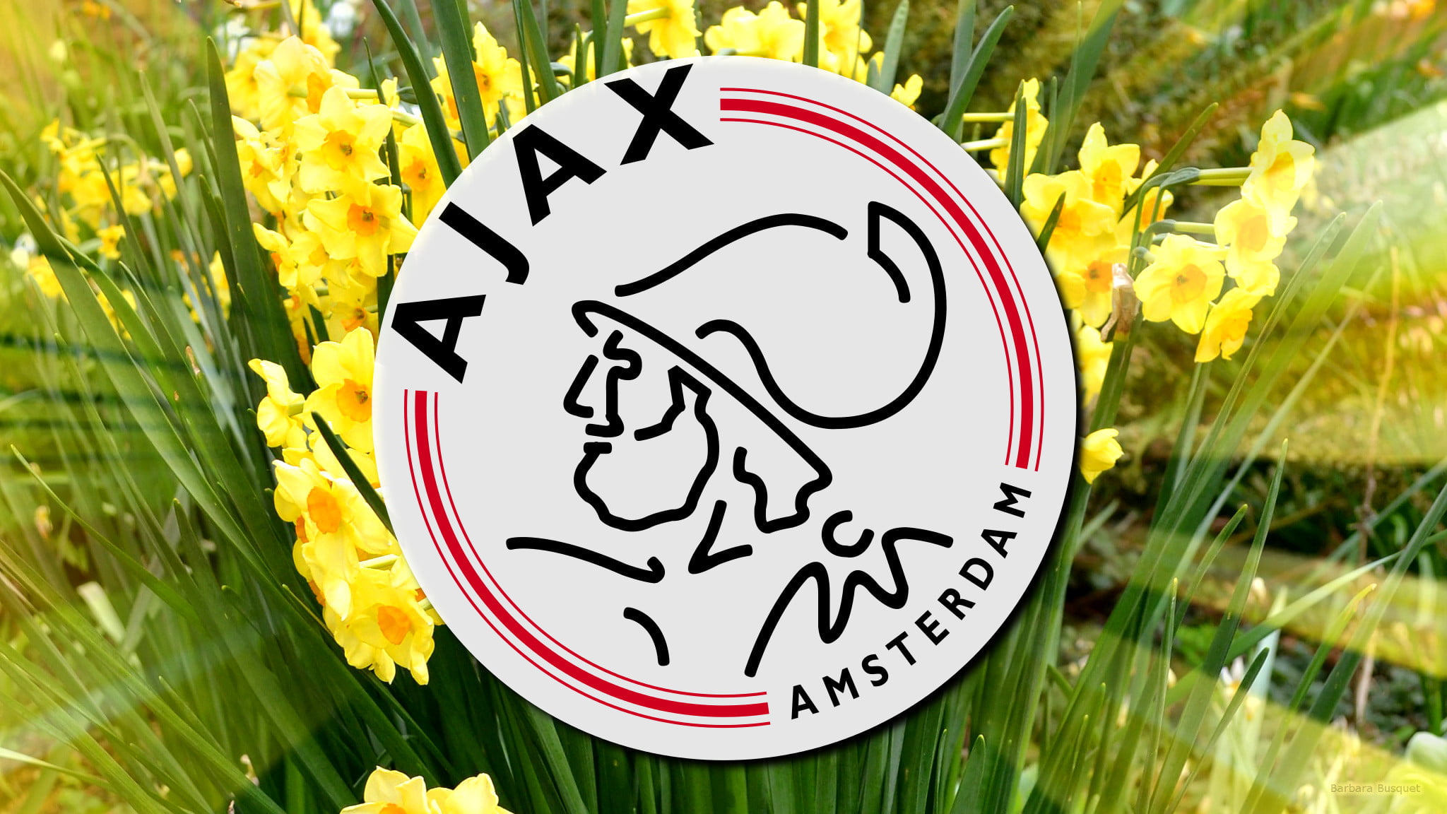Emblem, Soccer, Logo, AFC Ajax, 1080P, HD Wallpaper