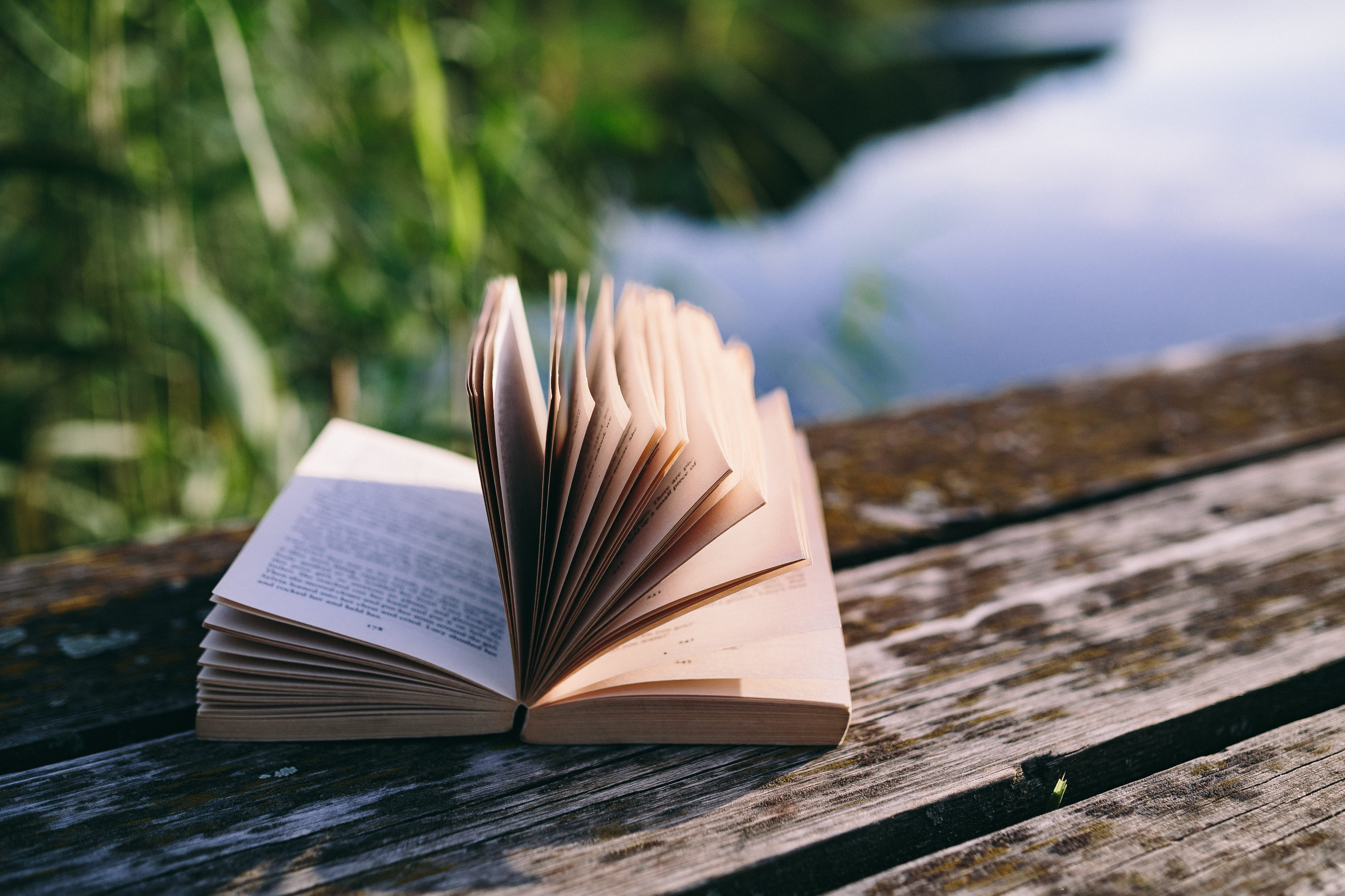 table, magic hour, opened notebook, university, sunlight, old wood, day, no people, relax, woman, wood - Material, water, old boards, absence, old, plant, HD Wallpaper