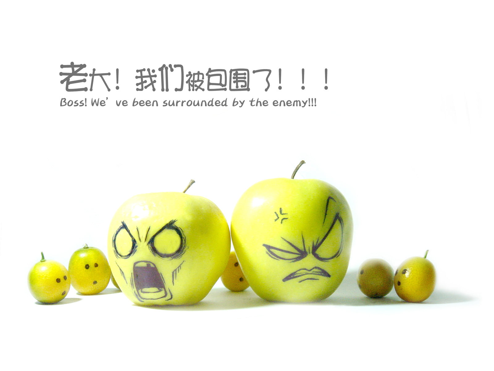 different, symbol, illustration, isolated, nature, backgrounds, communication, apple, ripe, dieting, organic, still life, cute, widescreen, short phrase, HD Wallpaper