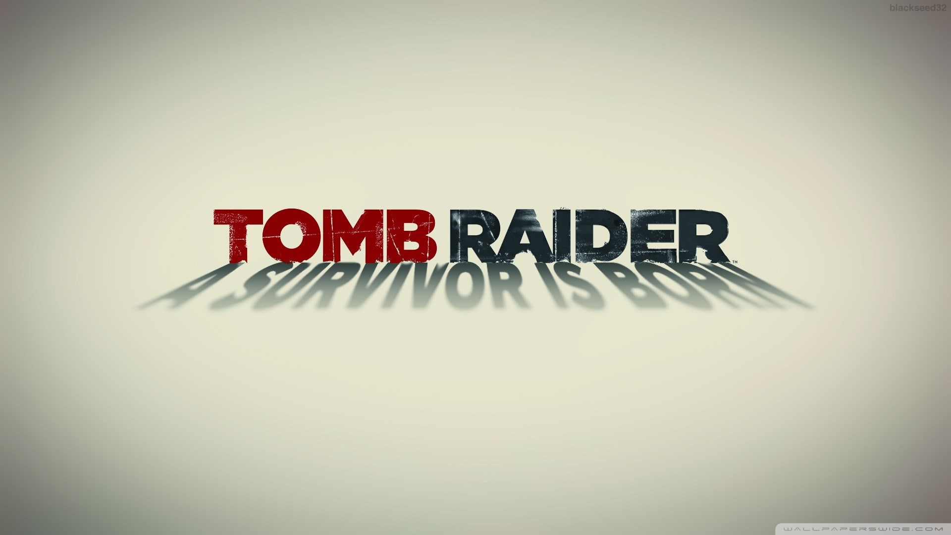 colored background, tomb raider, studio shot, copy space, short phrase, western script, advice, business, message, consumerism, sign, no people, capital letter, HD Wallpaper
