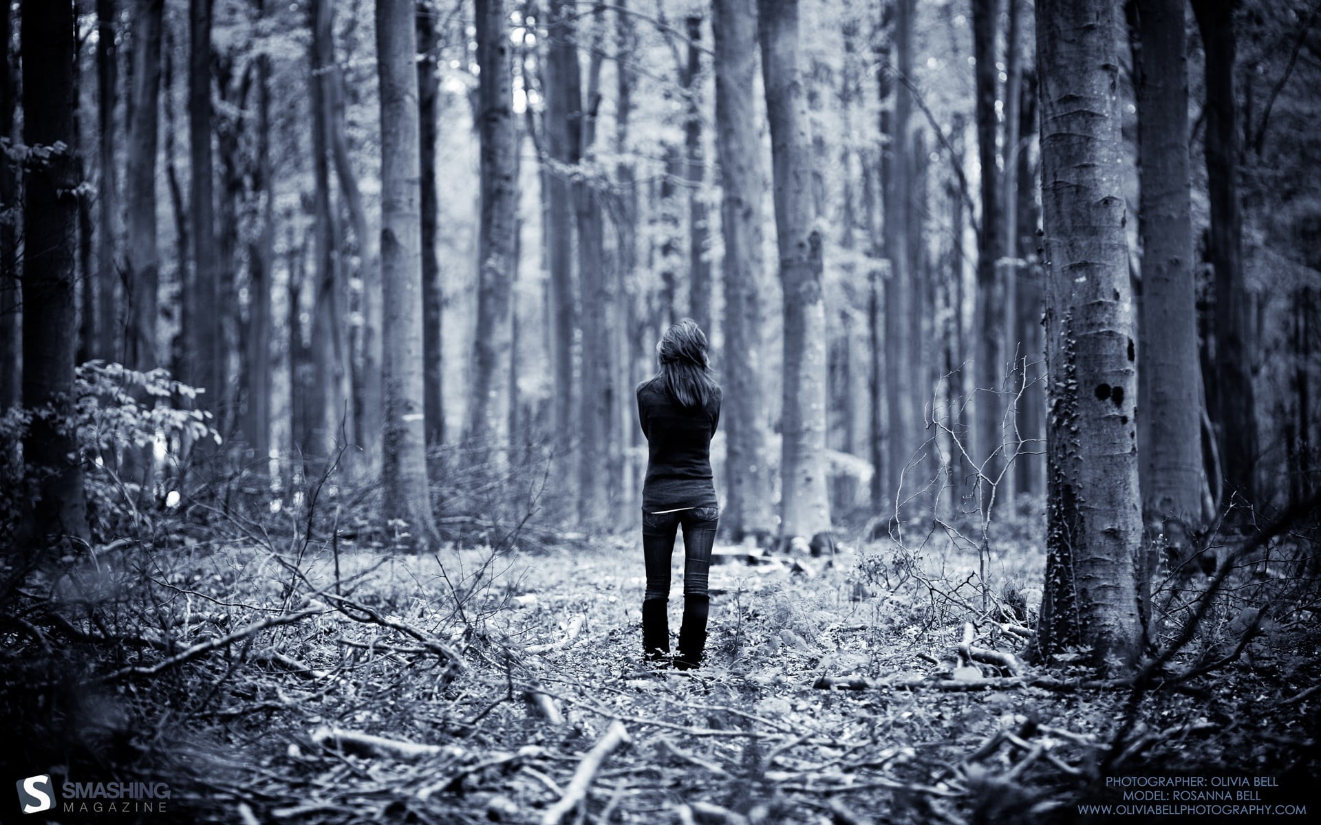 one person, tree, land, 1080P, nature, rear view, cold temperature, magazine, solitude, trunk, standing, greyscale, smashing, outdoors, non-urban scene, HD Wallpaper
