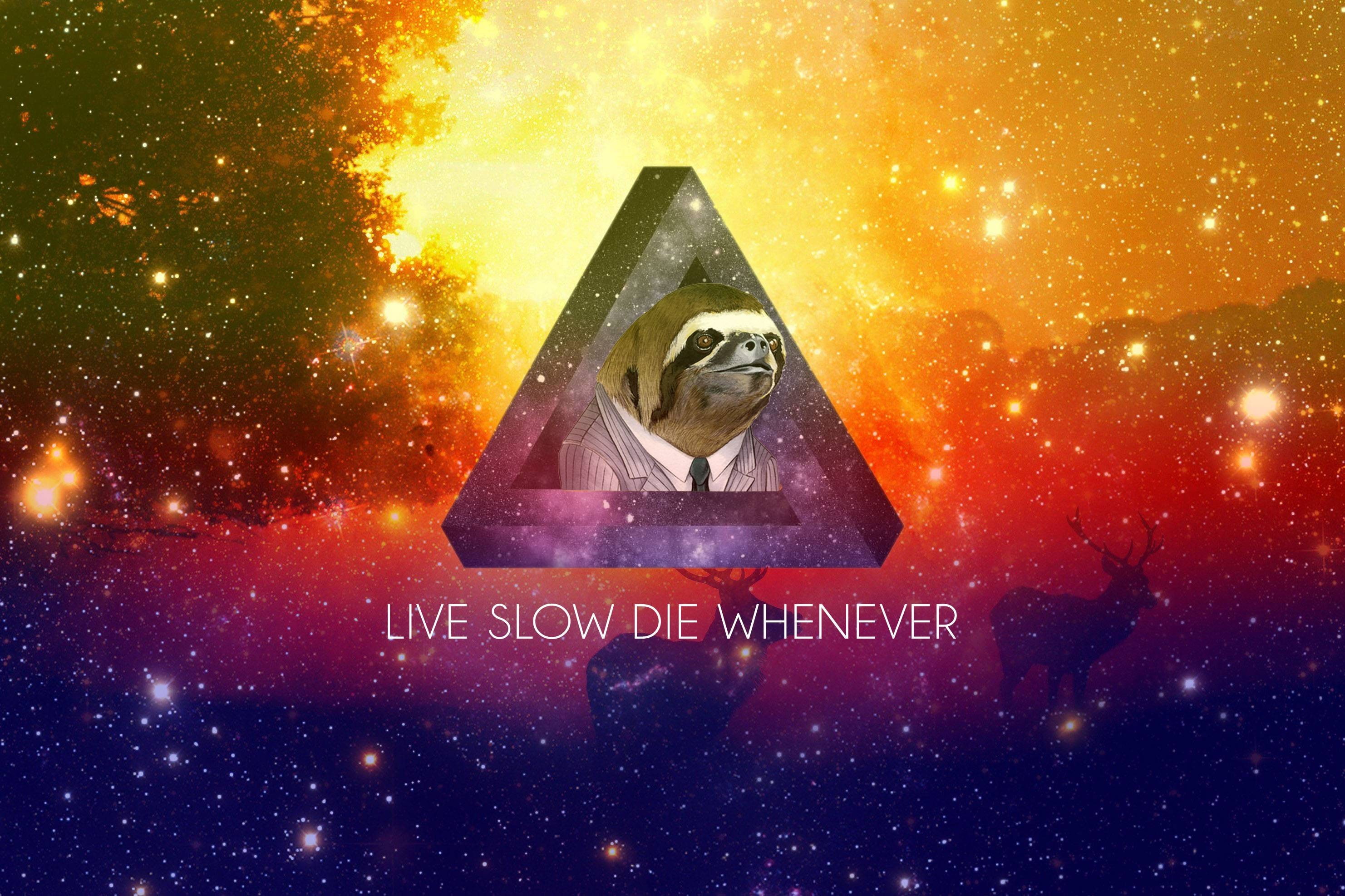 2K, representation, typography, digital art, architecture, communication, western script, star - space, no people, illuminated, sloths, nature, red, transportation, HD Wallpaper