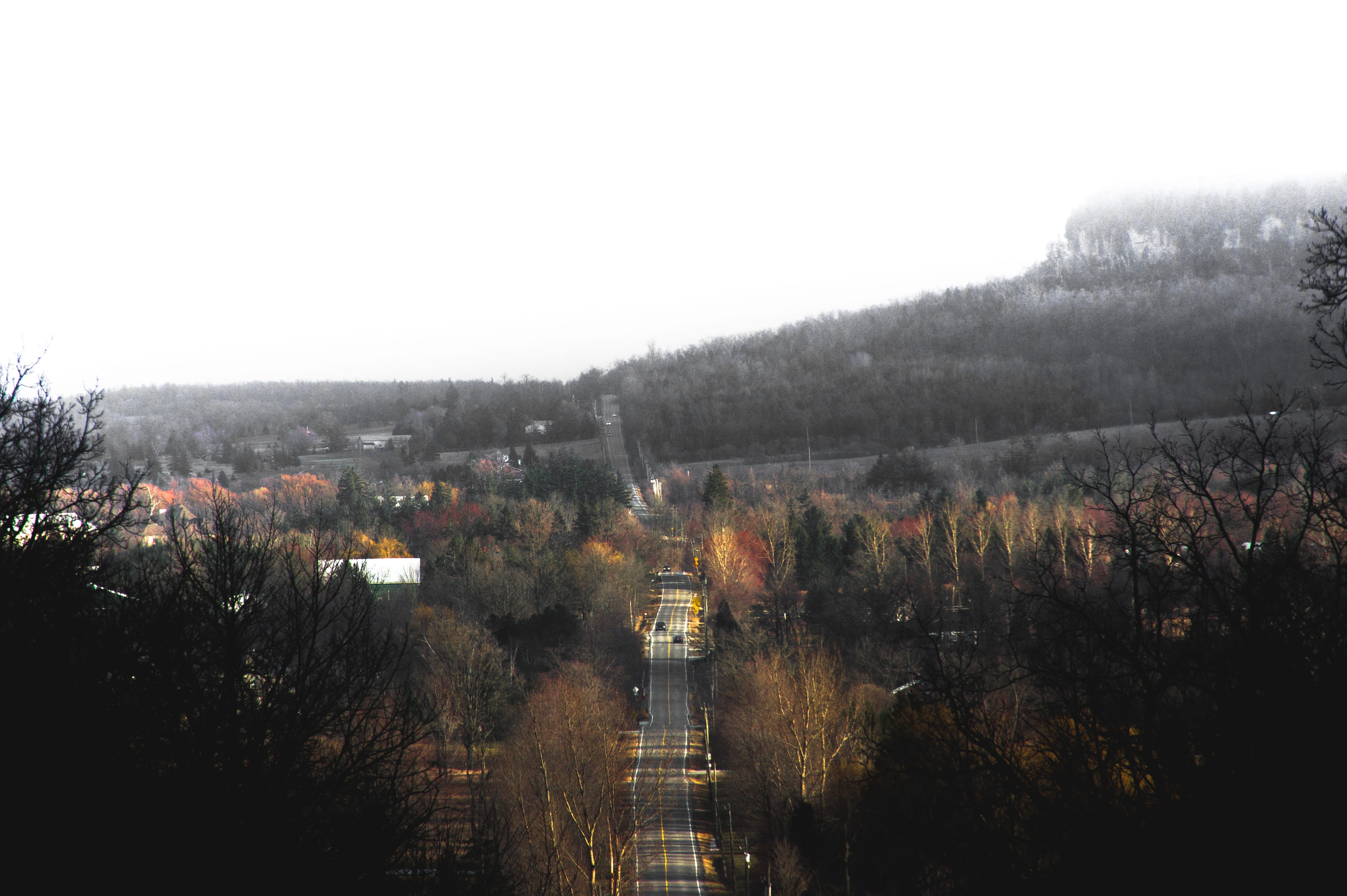 milton, long, city, fog, road, trees, no people, rattlesnake point, cars, elevation, nature, high, copy space, scenics - nature, building, sky, continuous, HD Wallpaper