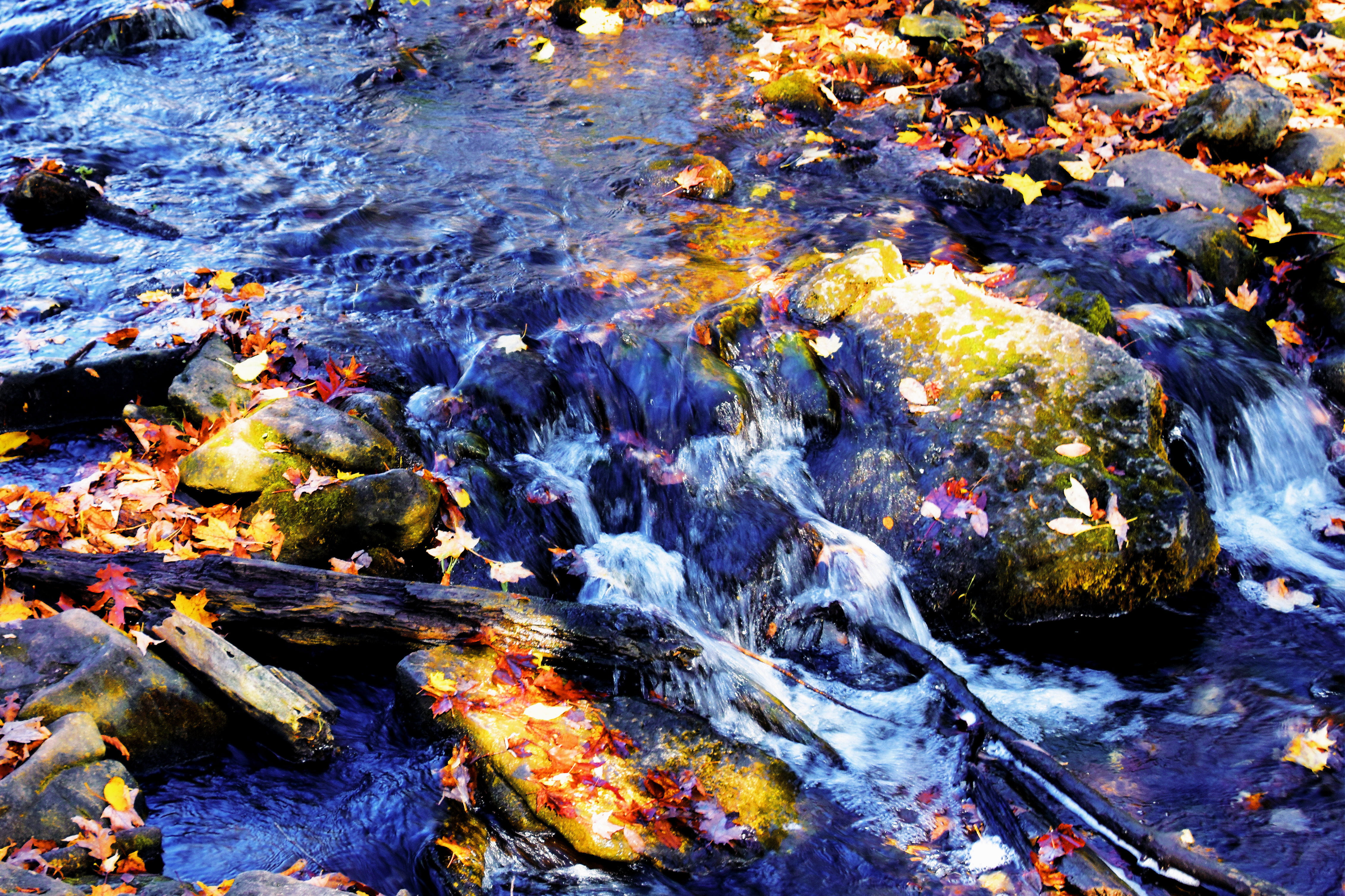 hilton falls trail, milton, water, outdoors, high angle view, change, canada, full frame, solid, stream - flowing water, land, tree, motion, flowing water, HD Wallpaper