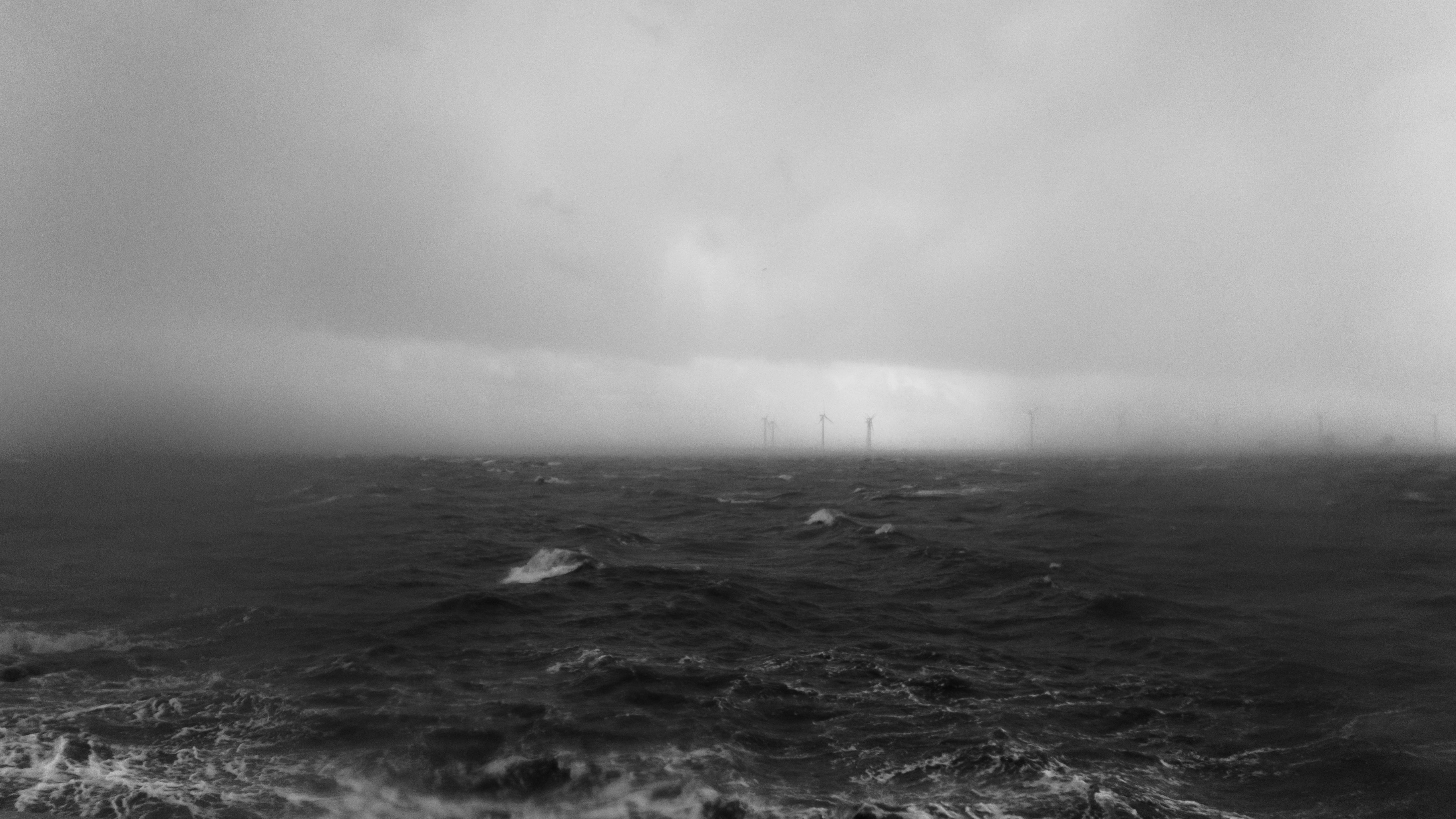 sky, wind farm, pollution, dark, day, water, waves, marine, fog, alternative energie, environment, outdoors, aerial, photo, nordsee, nature, 5K, animals in the wild, HD Wallpaper
