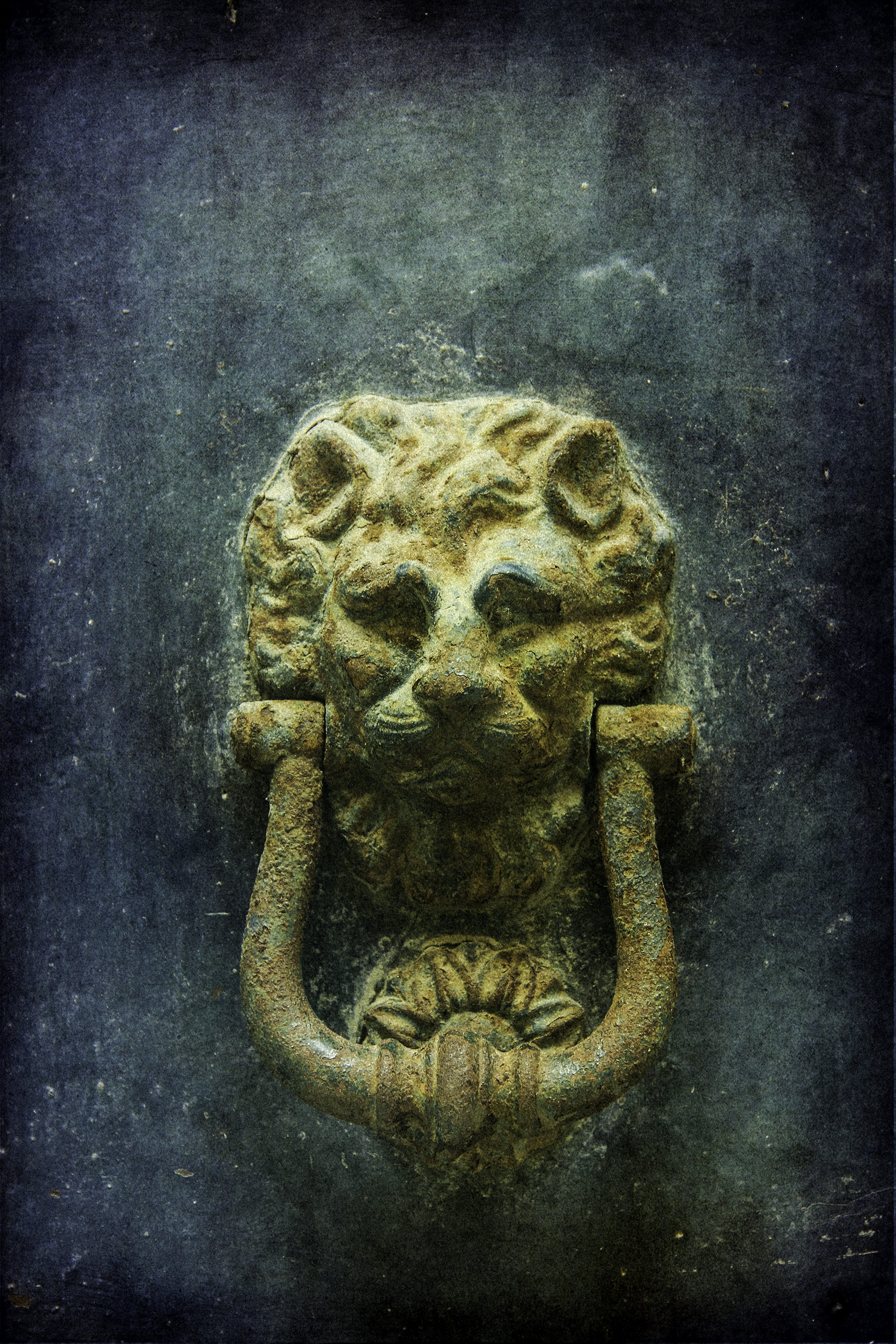 lion - feline, art and craft, metal, italy, human representation, representation, ornate, Old, sculpture, knock, cat, building, close-up, Venice, entrance, Phone HD Wallpaper