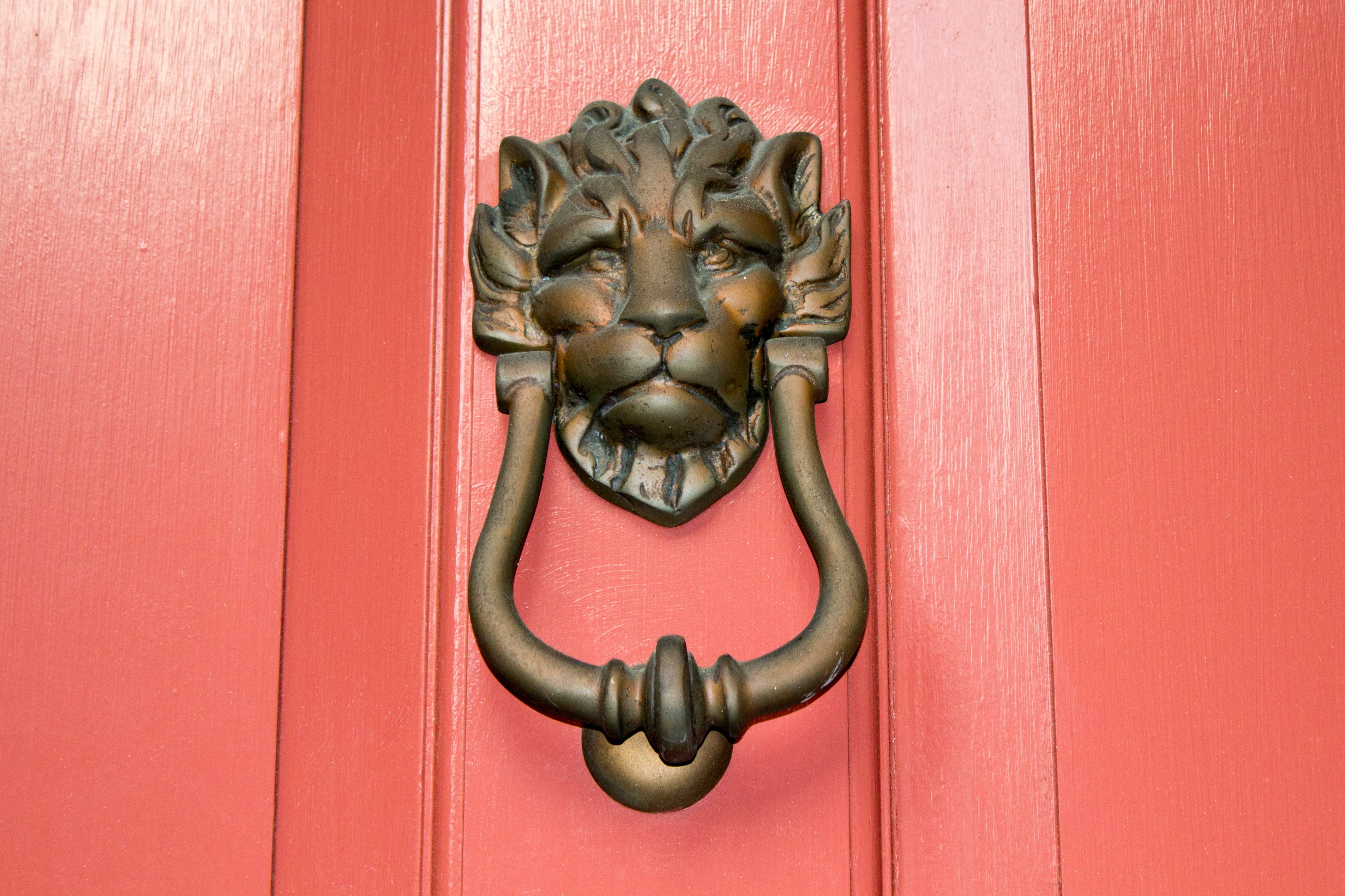 entrance, lion, animal representation, ancient, wood - Material, house, knocker, design, symbol, vintage, feline, craft, old, ring, steel, iron, metal, HD Wallpaper