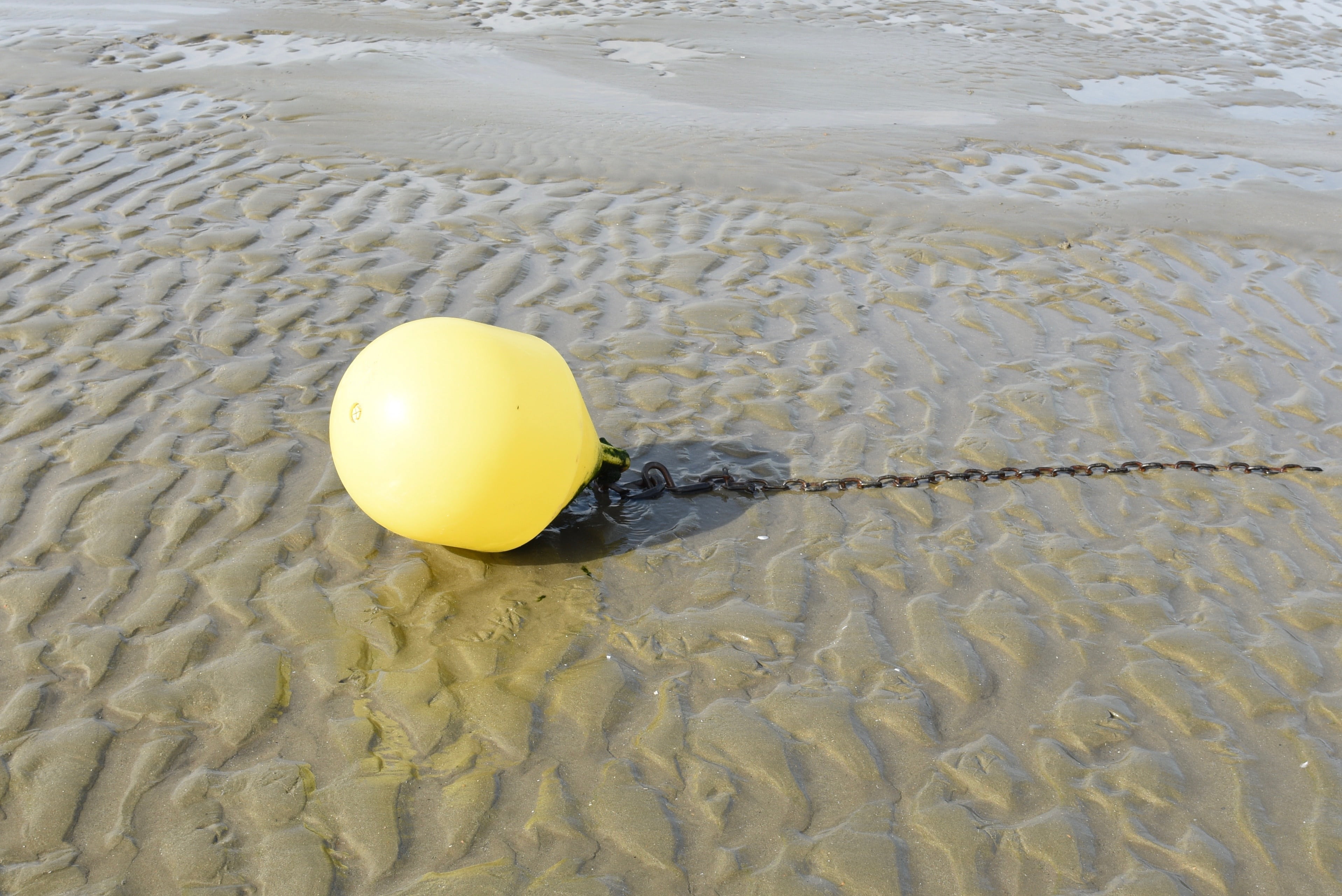 waterfront, boje, no people, sunlight, knocke, high angle view, inflatable, sea, yellow, outdoors, summer, floating on water, sand, beauty in nature, nature, HD Wallpaper