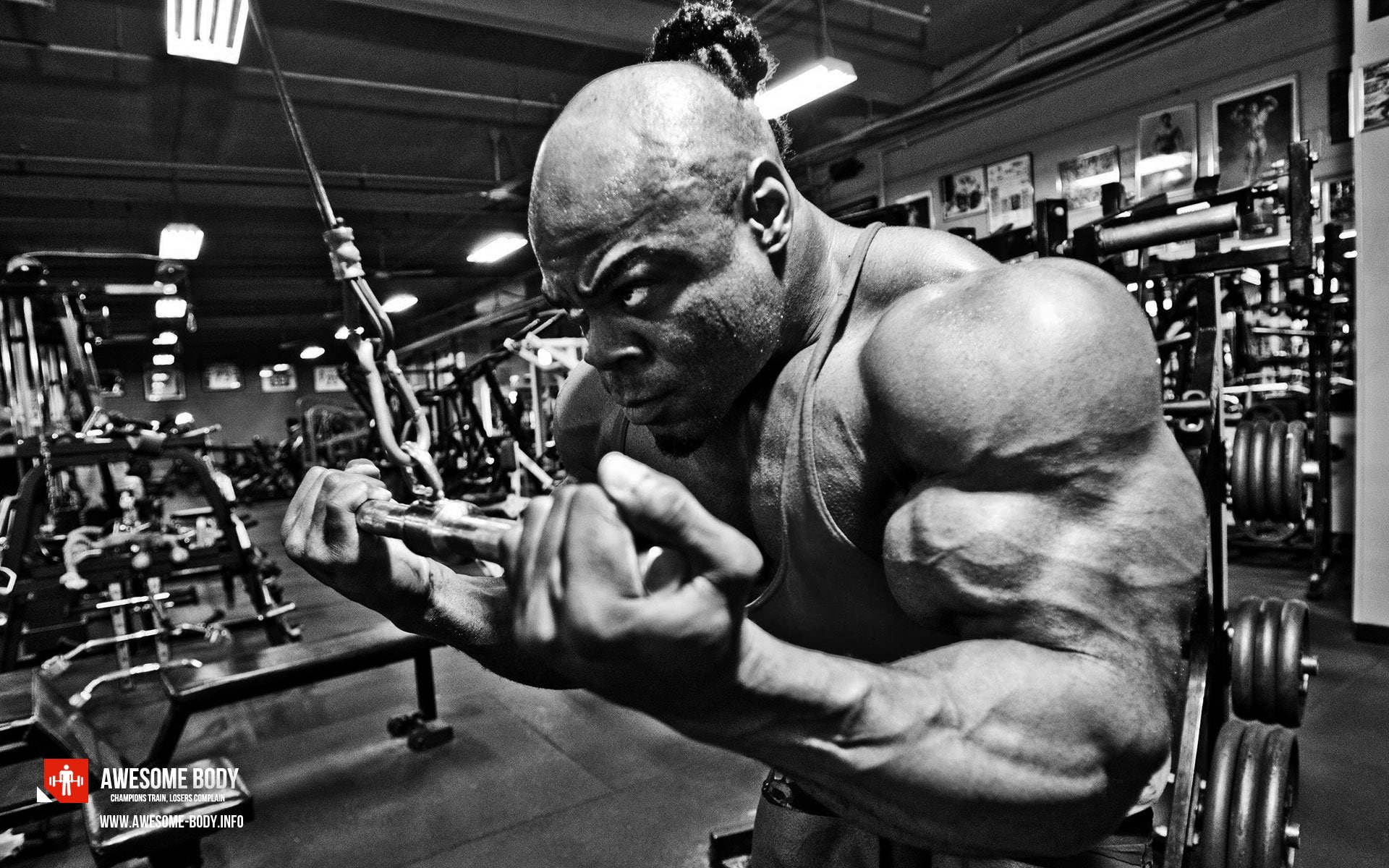 1080P, Kai Greene, Sports, HD Wallpaper