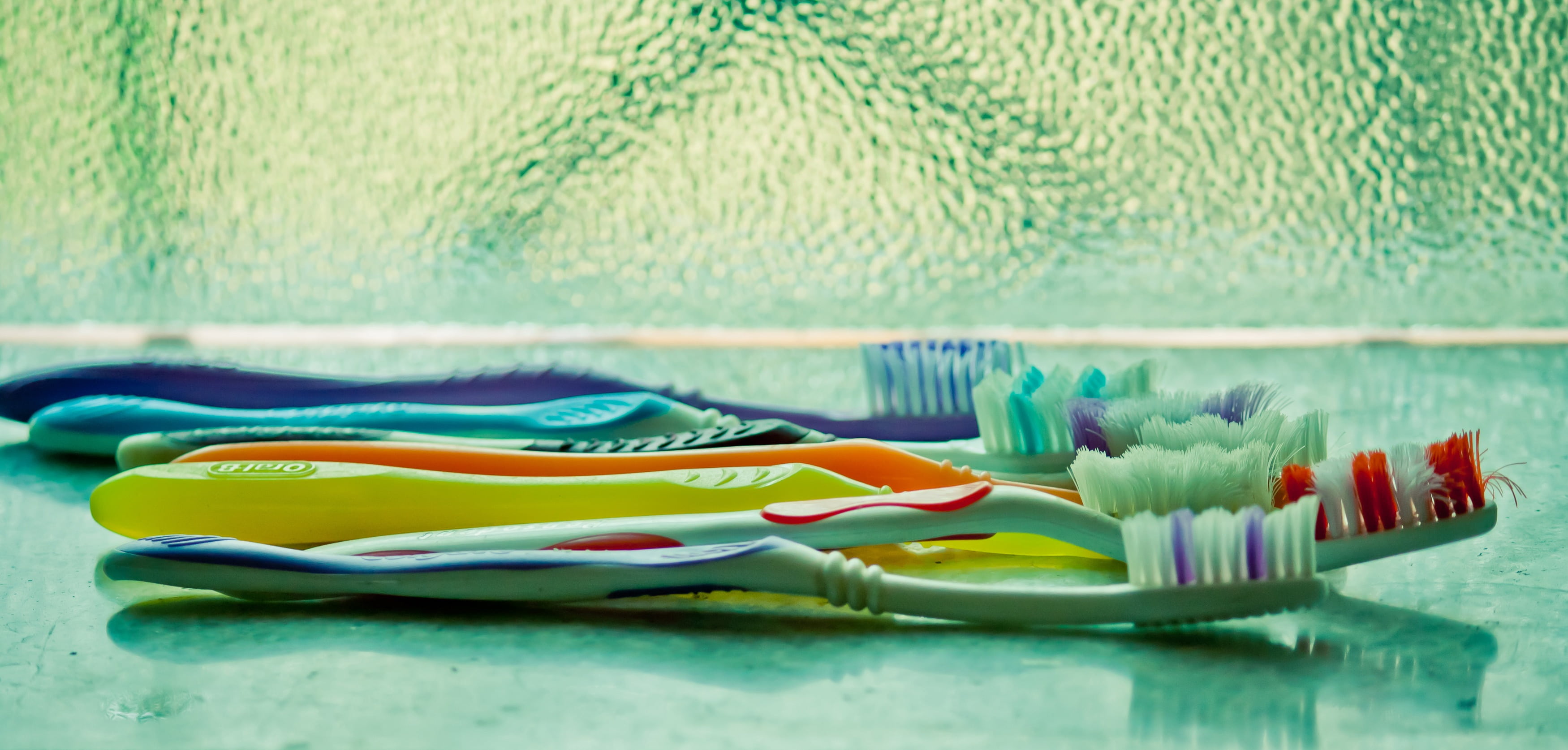water, dentistry, floating on water, fragility, nature, pile, dental care, pool, flower, toothbrushes, beauty in nature, no people, hygiene, swimming pool, HD Wallpaper