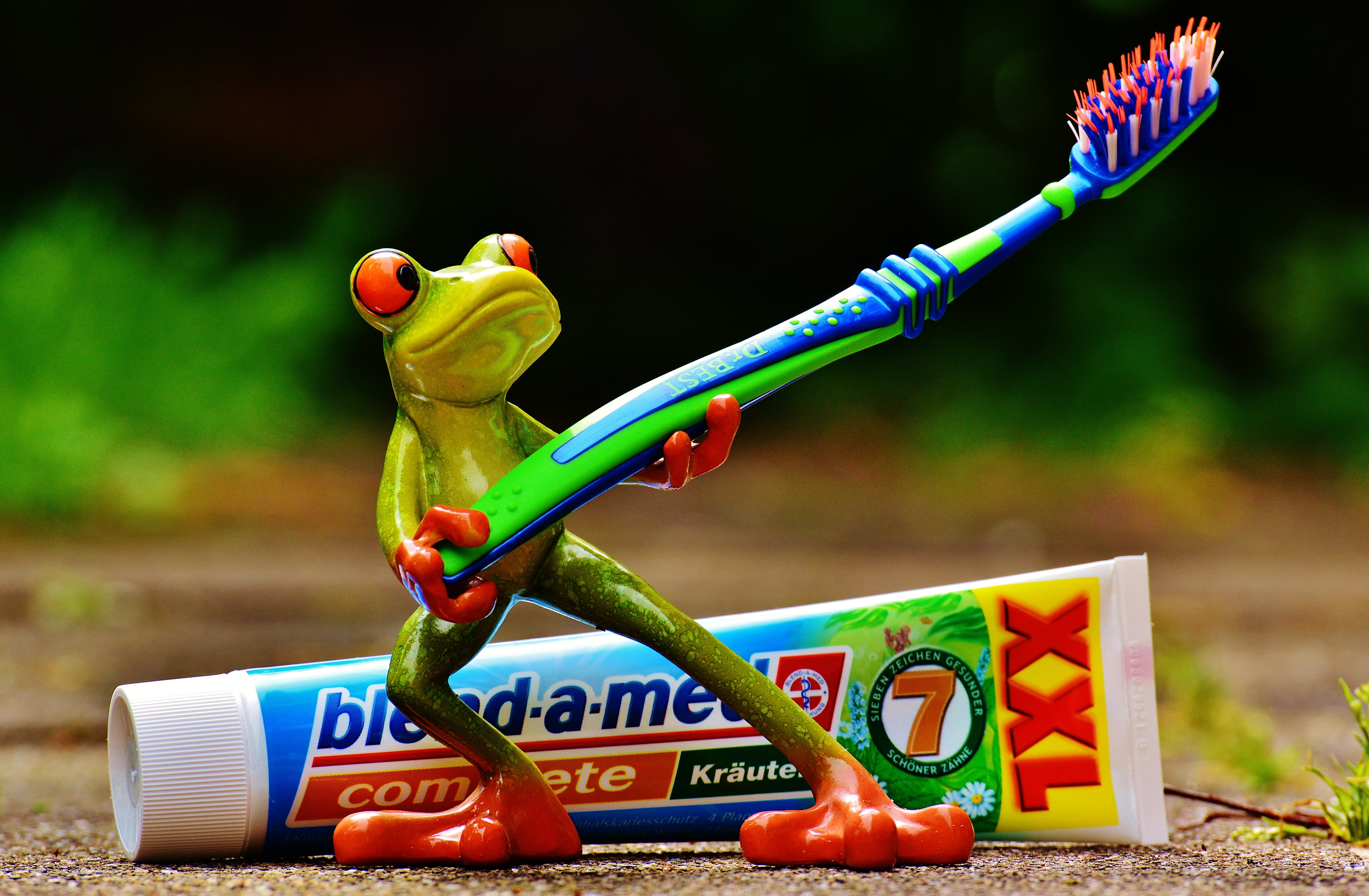 close-up, alphabet, nature, toothbrush, text, representation, multi colored, creativity, childhood, toy, green, bless you, cute, dental hygiene, frog, communication, HD Wallpaper
