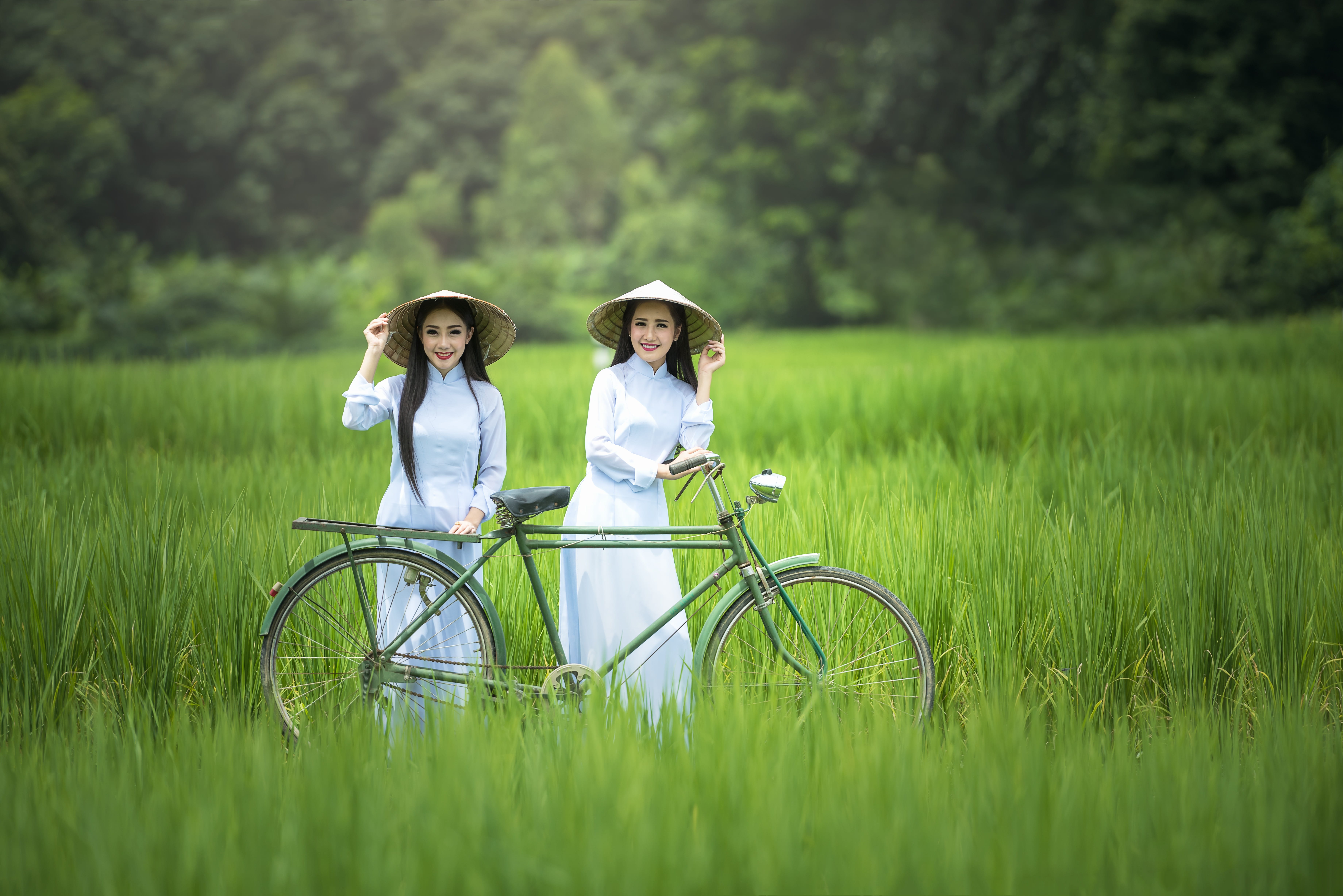 green color, transport, 5K, water, woman, people, men, geography, togetherness, asia, family, vietnamese, ancient, 7 days week, females, green, women, HD Wallpaper