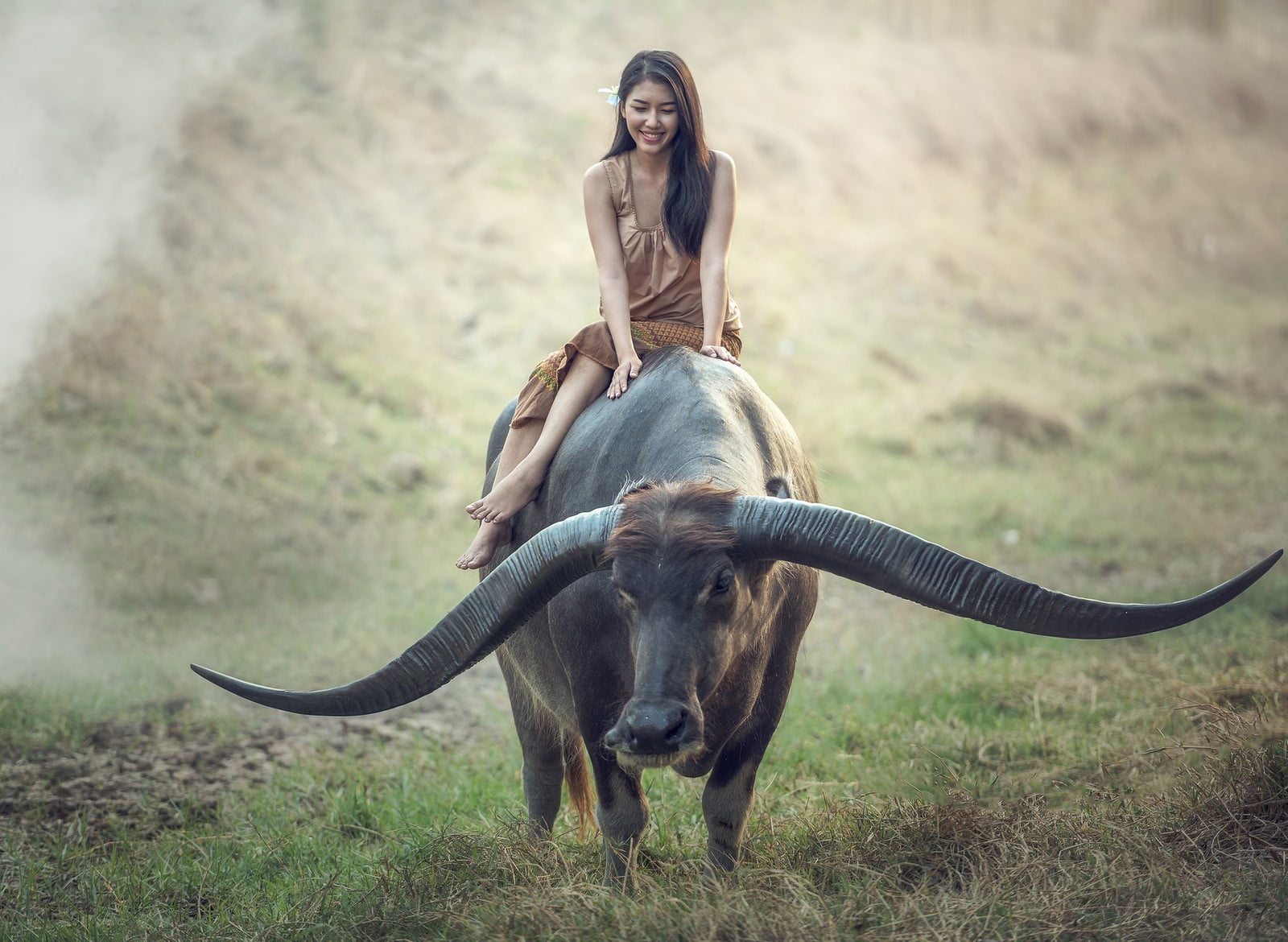 farm, beauty, people, women, animal wildlife, beautiful woman, hairstyle, Thailand, adult, one animal, young women, domestic animals, mammal, riding, beautiful people, HD Wallpaper