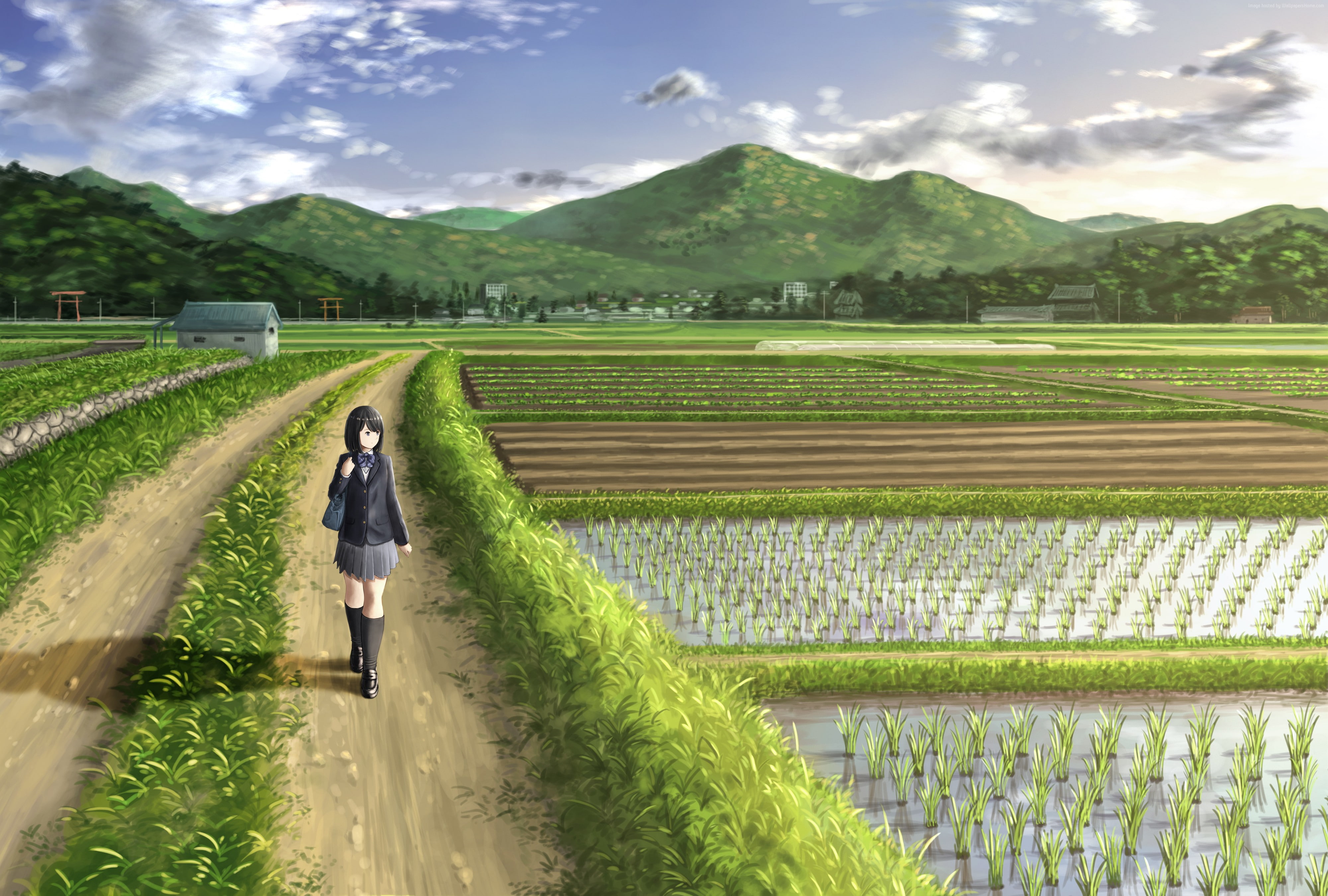 girl, crop, environment, real people, one person, anime, agriculture, field, landscape, land, farm, green color, 4K, rural scene, cloud - sky, nature, HD Wallpaper