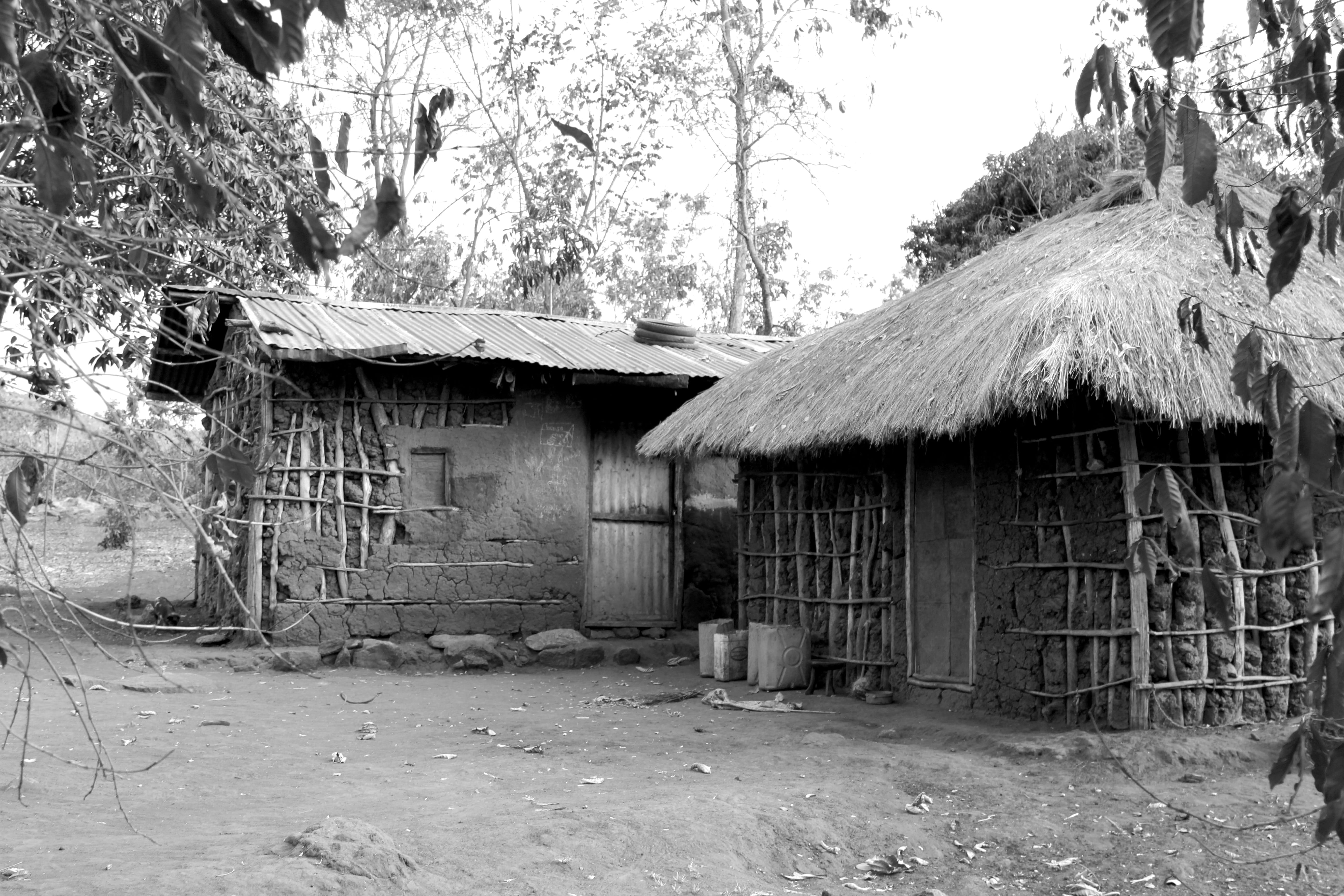 land, natural, local, life, African, architecture, thatched roof, building exterior, House, traditional, landscape, Home, primitive, rural scene, outdoors, HD Wallpaper