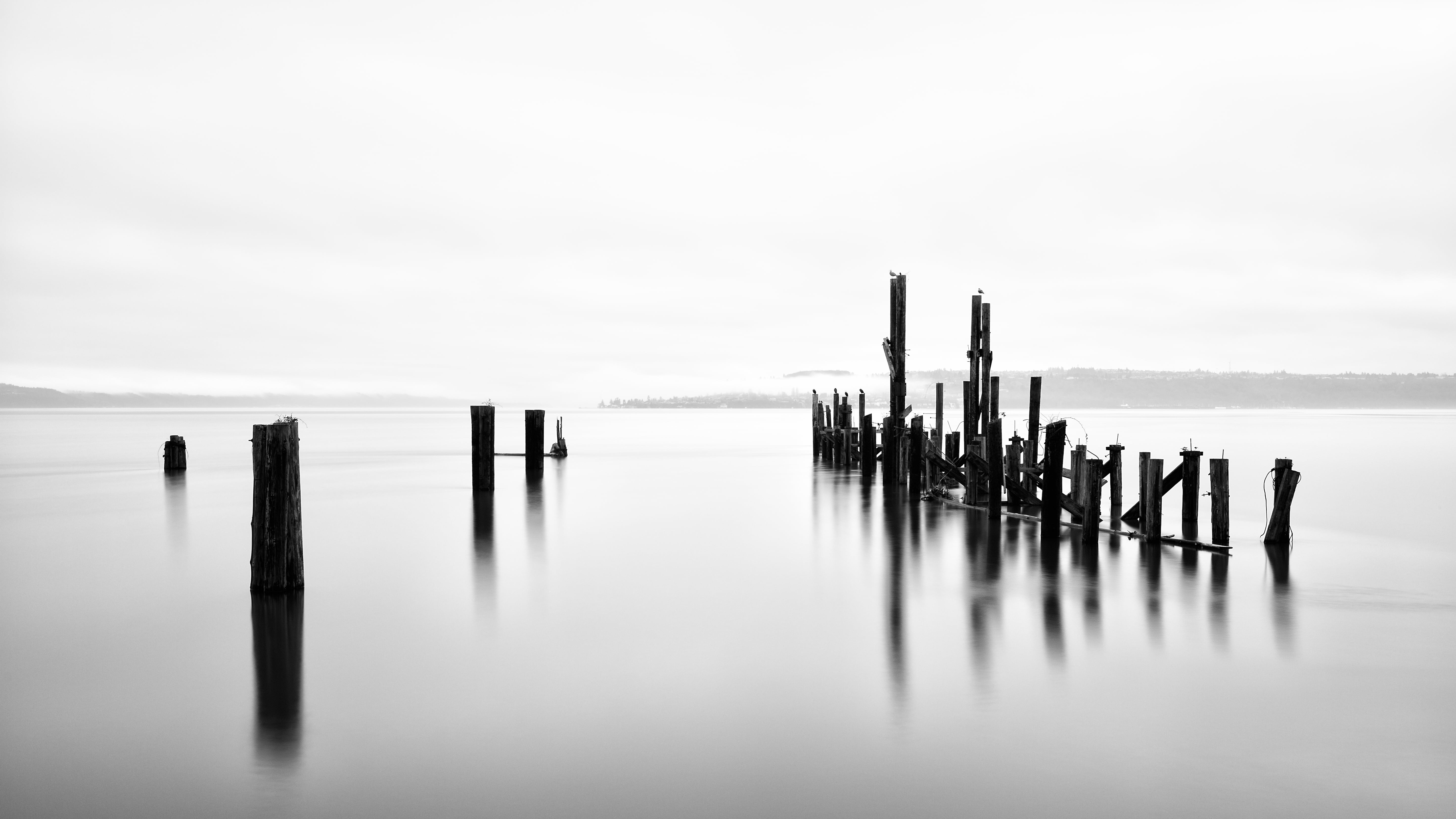 pilings, Canon EOS 5D Mark III, sea, 5K, f/2, contrast, westrock, dock, Hitech, The End, black and white, pole, water, washington, USM, reflection, grayscale, HD Wallpaper