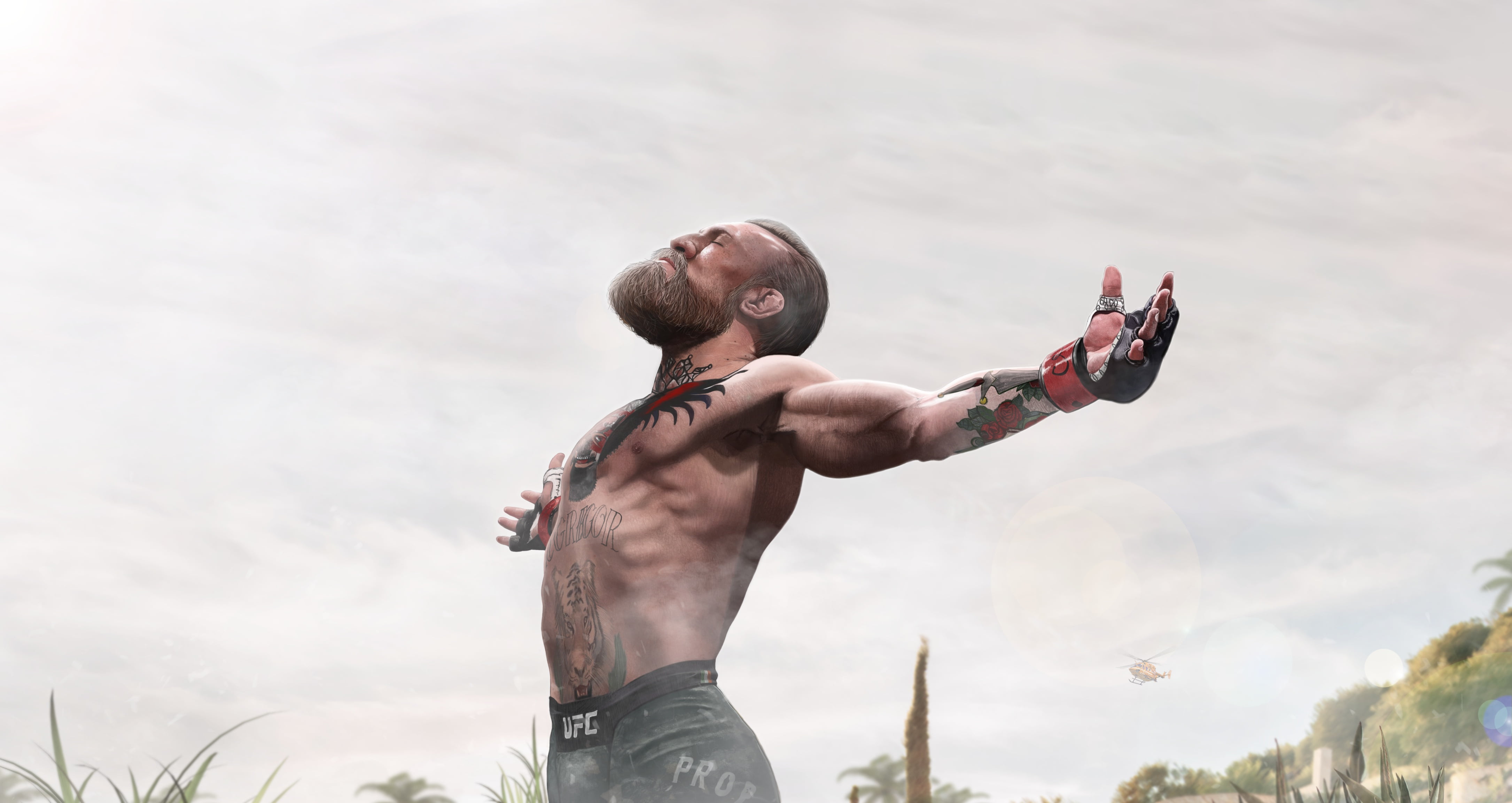 sport, art, artist, figure, realism, 4K, макгрегор, animation, conor mcgregor, HD Wallpaper