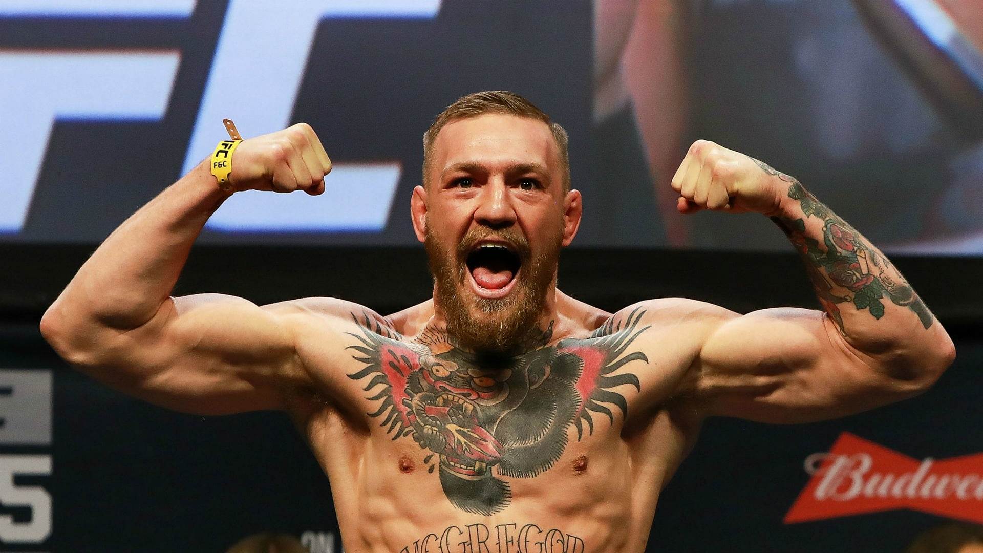 1080P, Sport, UFC229, Conor, FIGHT, McGregor, HD Wallpaper