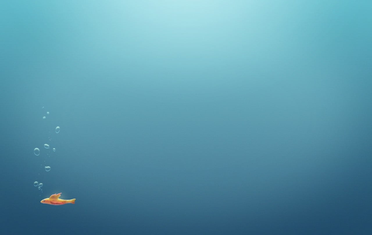 marine, artwork, studio shot, underwater, sea, floating on water, swimming, fish, 720P, nature, copy space, animal, bubble, quote, colored background, HD Wallpaper
