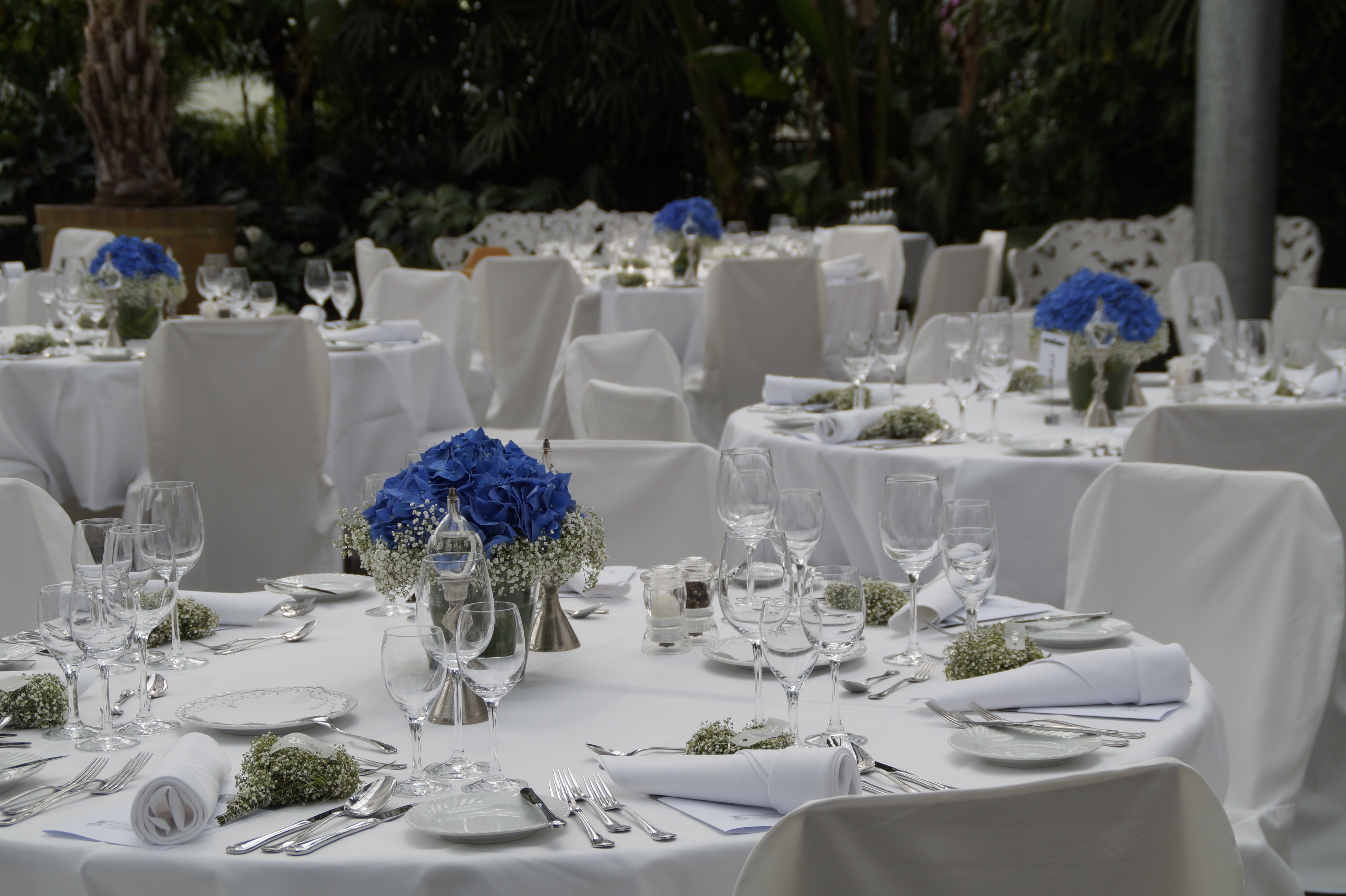 fine, celebrate, location, ambience, clear, household equipment, dining table, plate, dining tables, white color, wine, flower, white, wedding ceremony, HD Wallpaper