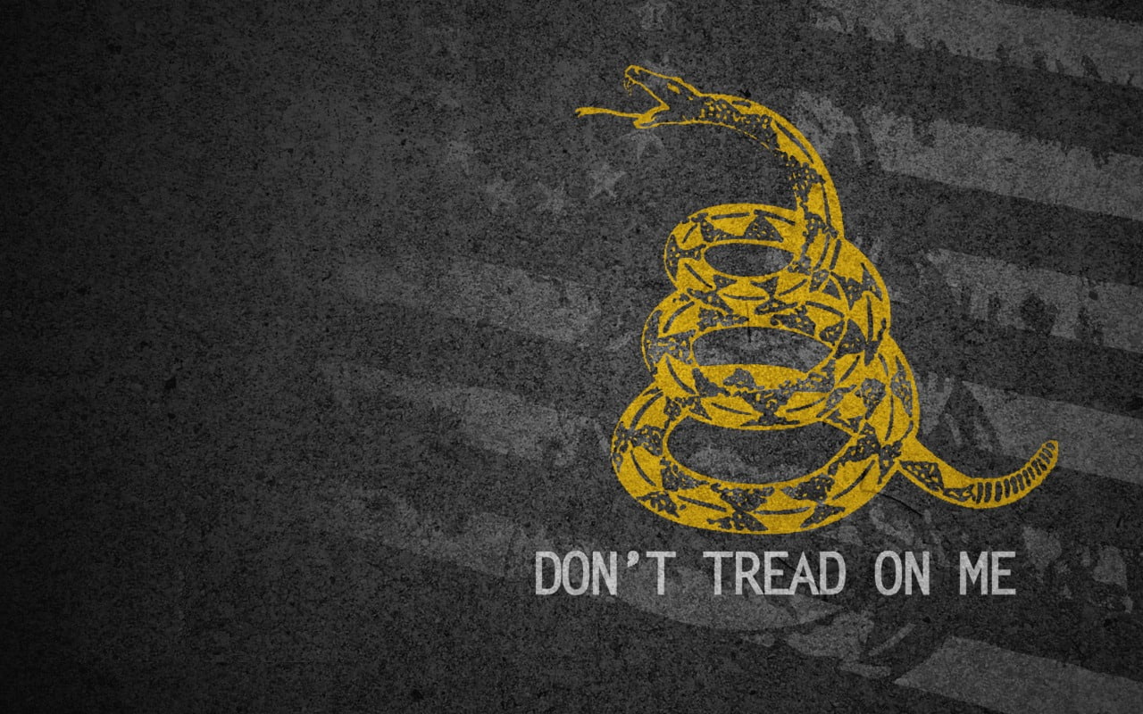 720P, Gadsden Flag, Flags, HD Wallpaper