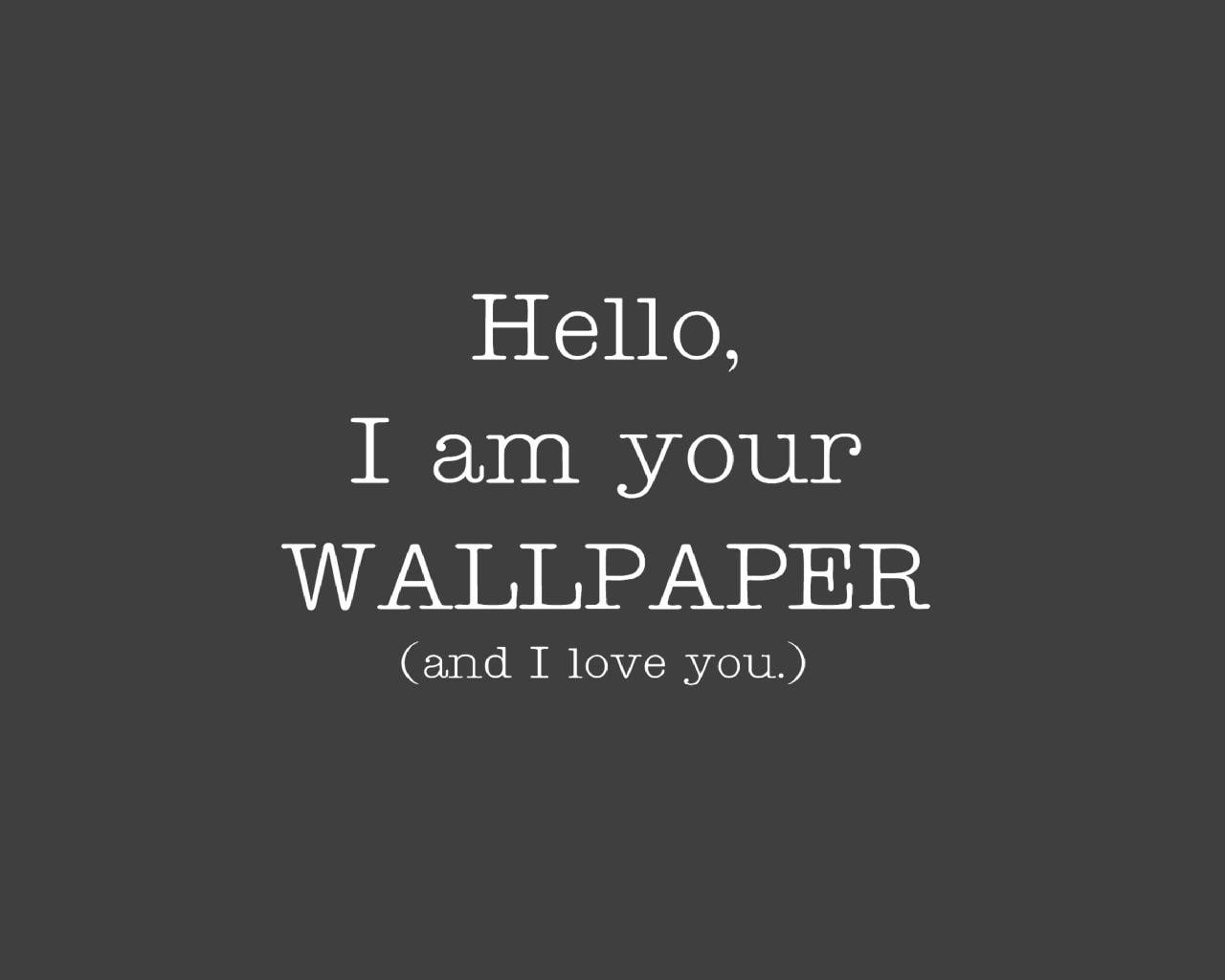  720P, word, funny, hello, HD Wallpaper