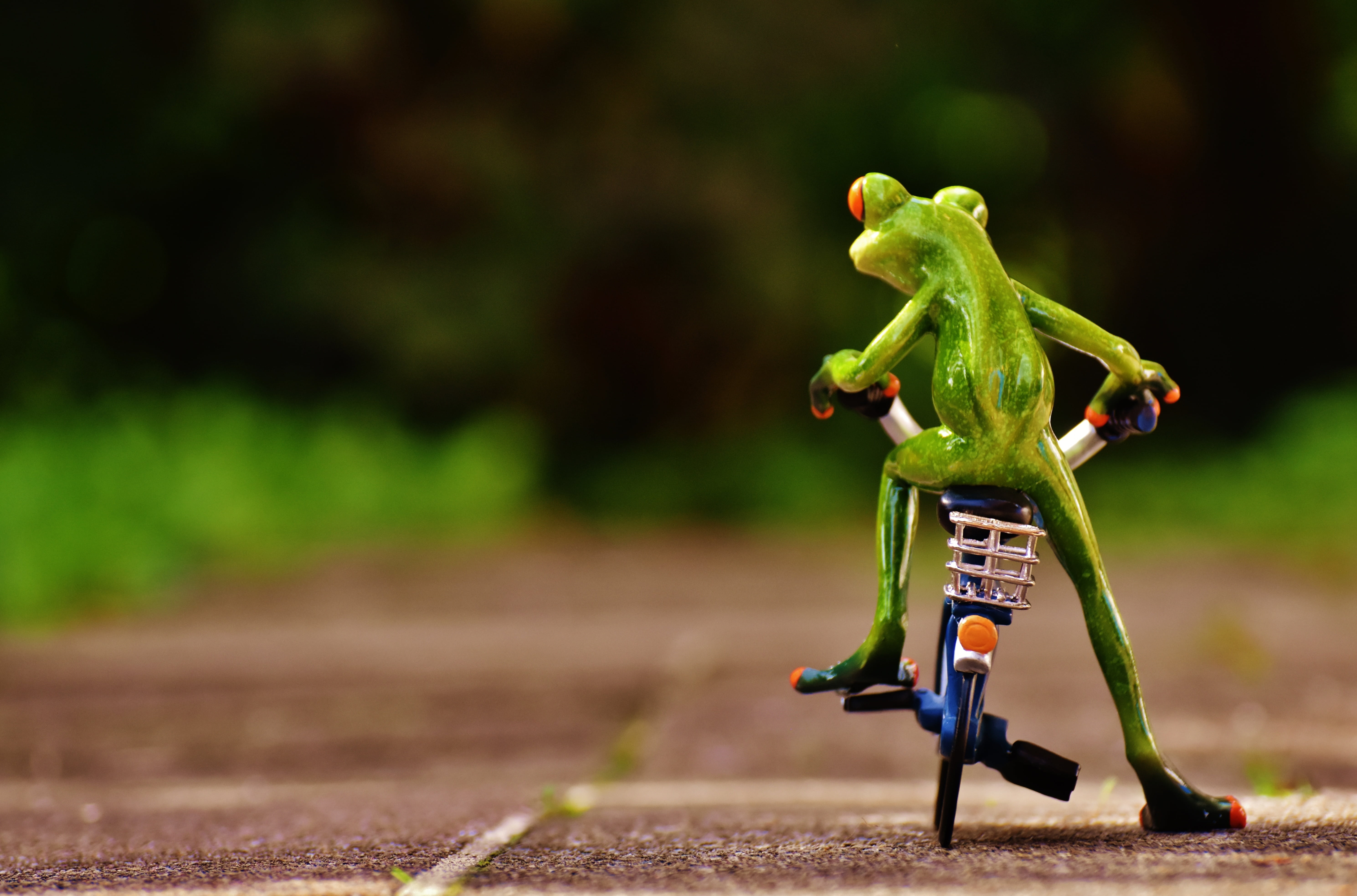 offspring, day, human representation, bike, full length, sweet, funny, childhood, figure, selective focus, animal, cute, fun, blue, land, nature, 5K, bicycle, HD Wallpaper