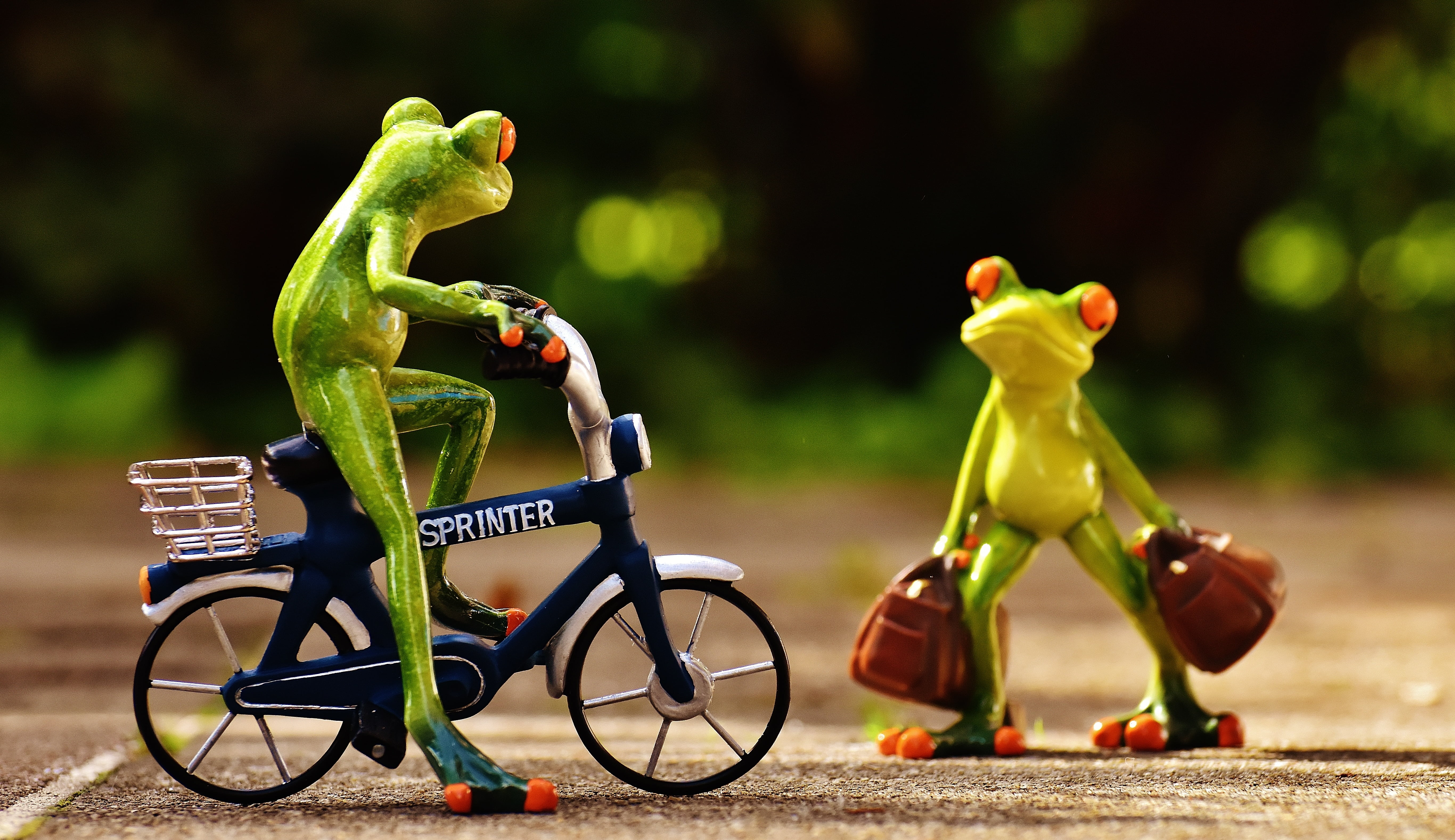 holidays, frogs, fun, sport, activity, see you again, cute, sweet, sad, outdoors, side view, bike, creativity, go away, holiday, bicycle, toy, helmet, full length, HD Wallpaper