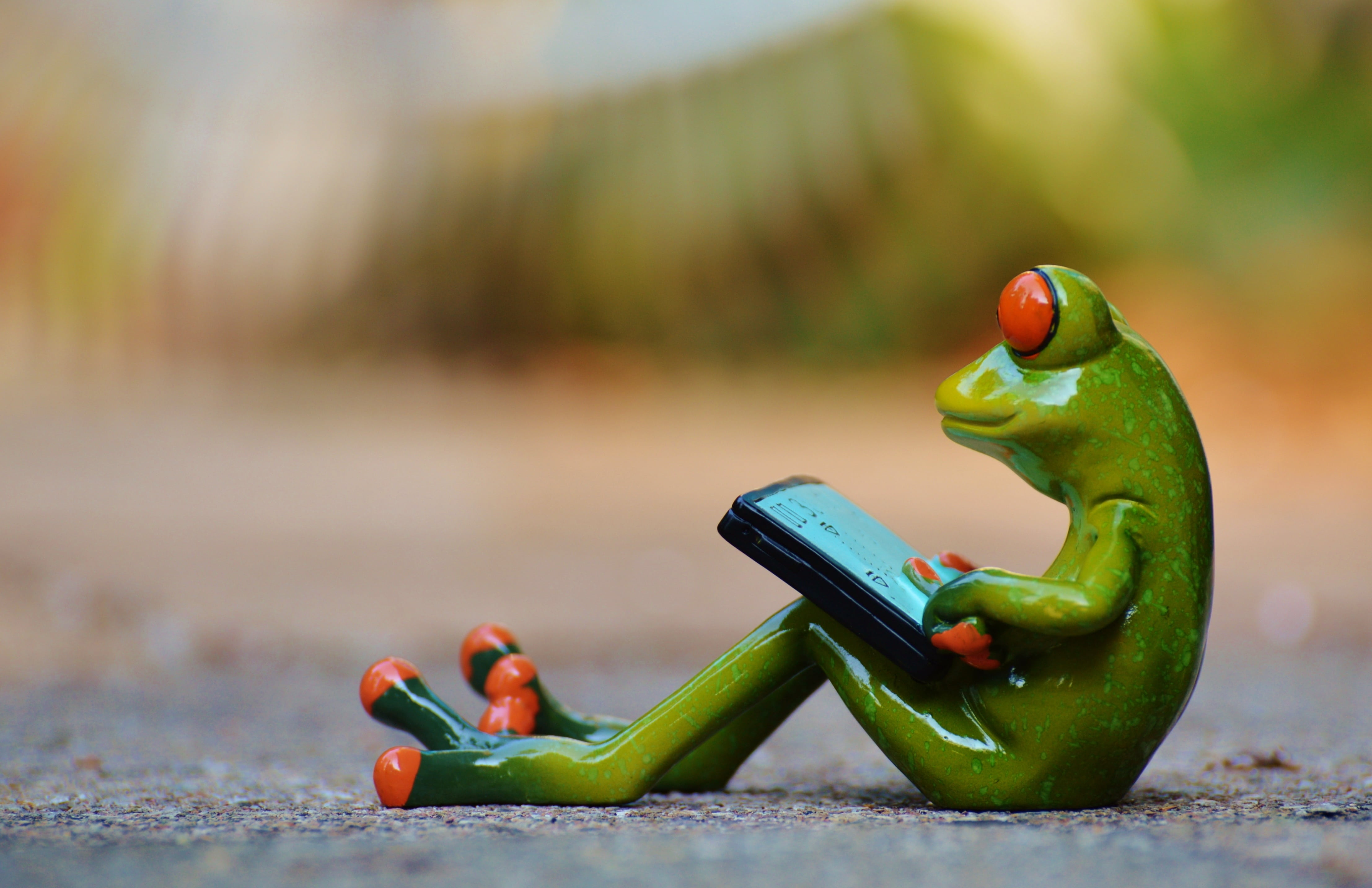 day, toy, close-up, surface level, food and drink, green, animal, cute, food, relaxation, healthy eating, fruit, wellbeing, sweet, relaxed, frog, communication, HD Wallpaper