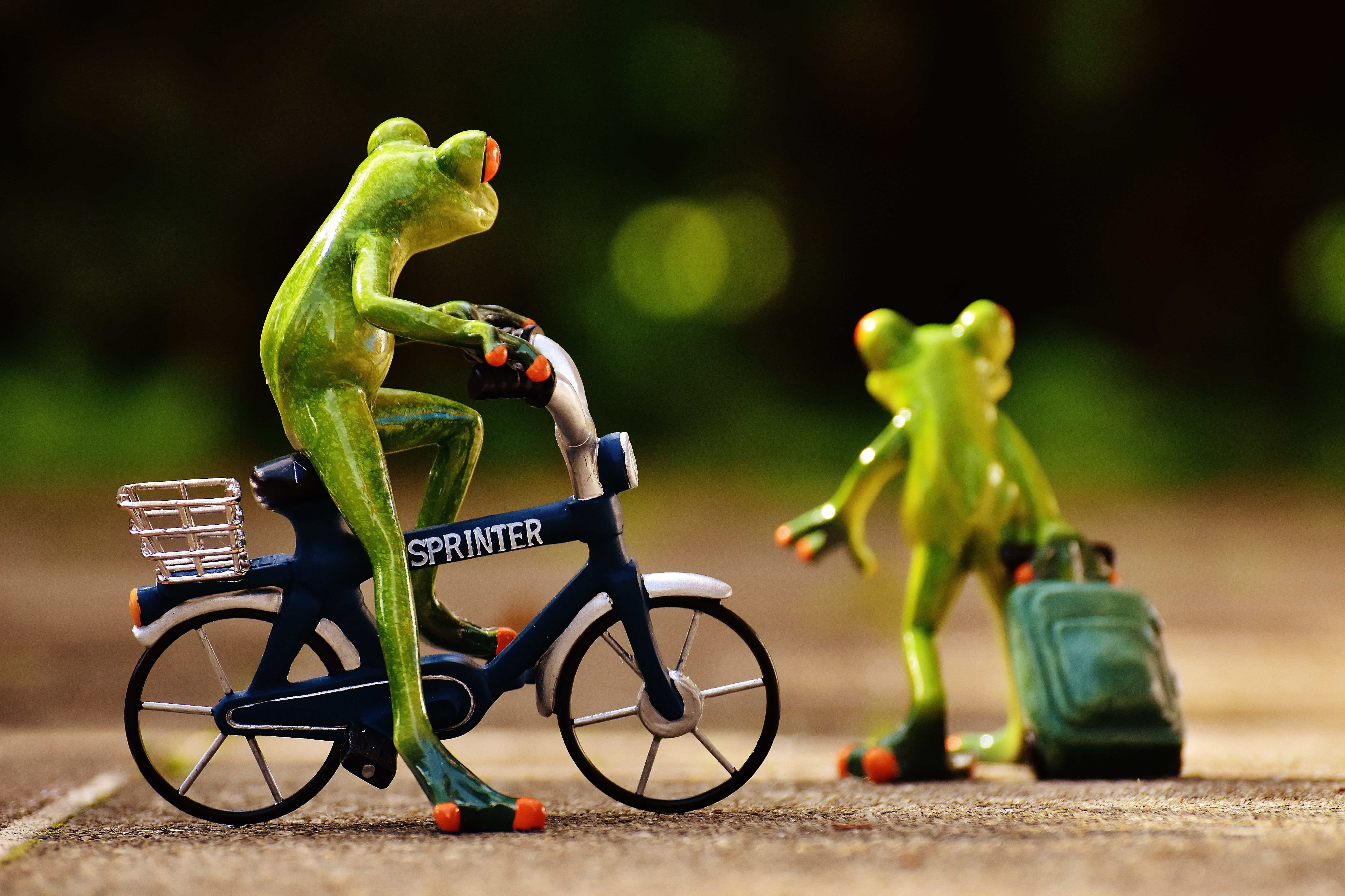 one animal, miniature, figurine, fun, focus on foreground, animal, two, close-up, figure, holidays, frog, sweet, animal representation, holiday, travel, HD Wallpaper