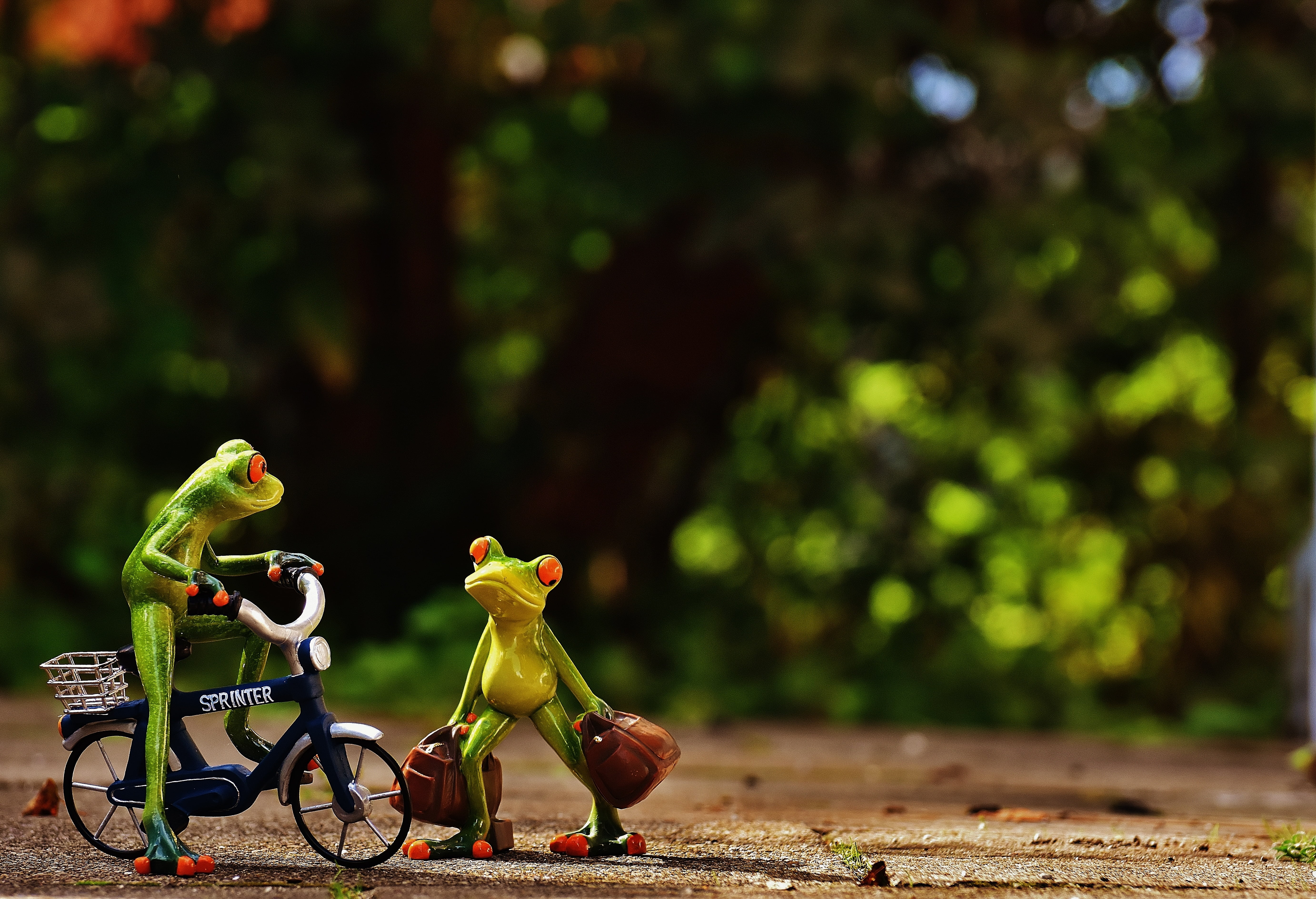 holdall, funny, holiday, transportation, go, focus on foreground, 5K, full length, nature, animal, male likeness, people, fun, figure, motion, land vehicle, HD Wallpaper