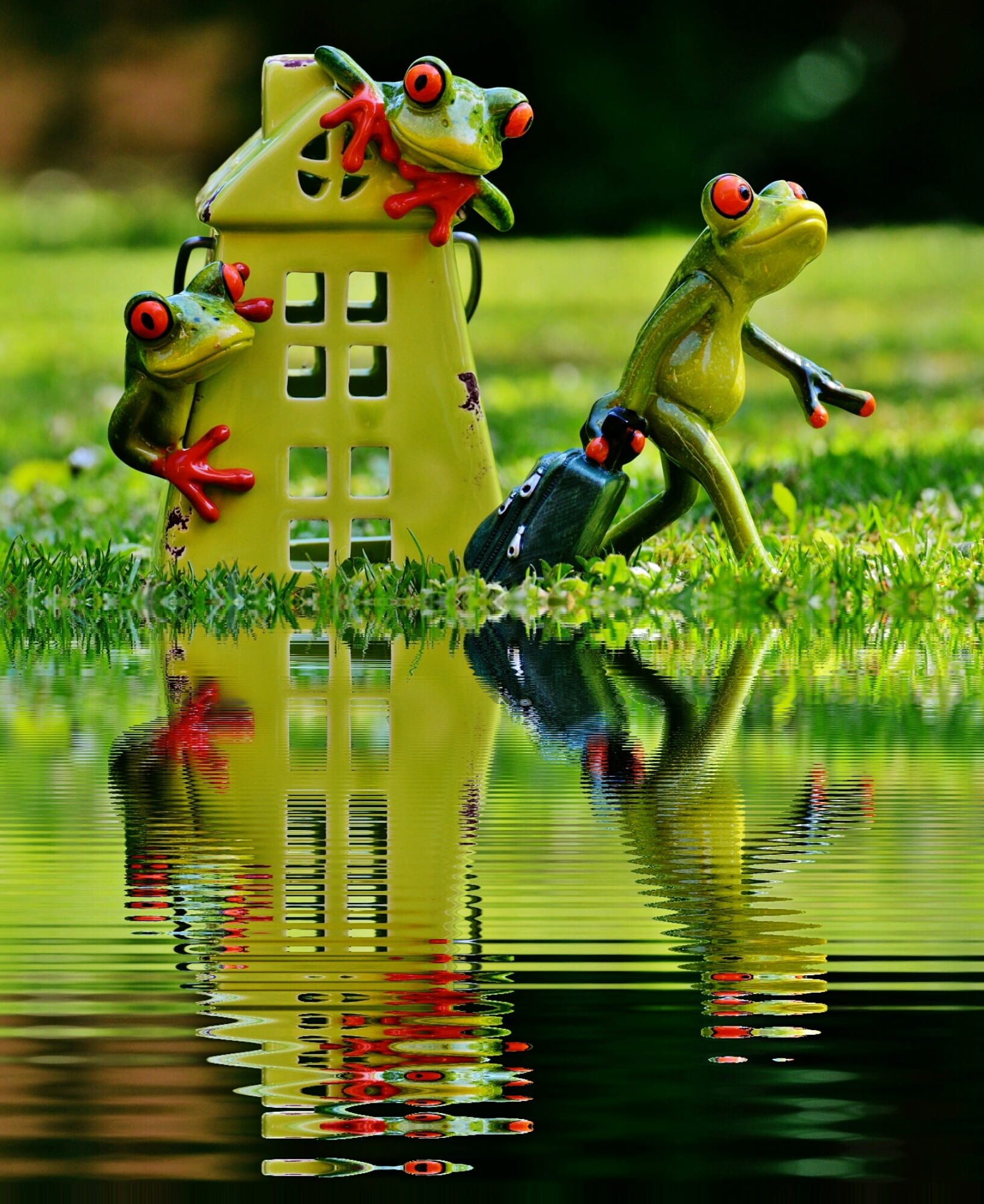 waterfront, vertebrate, travel, toy, 1080P, cute, day, duck, lake, trolley, on the go, frog, representation, farewell, animal wildlife, reflection, water, Phone HD Wallpaper