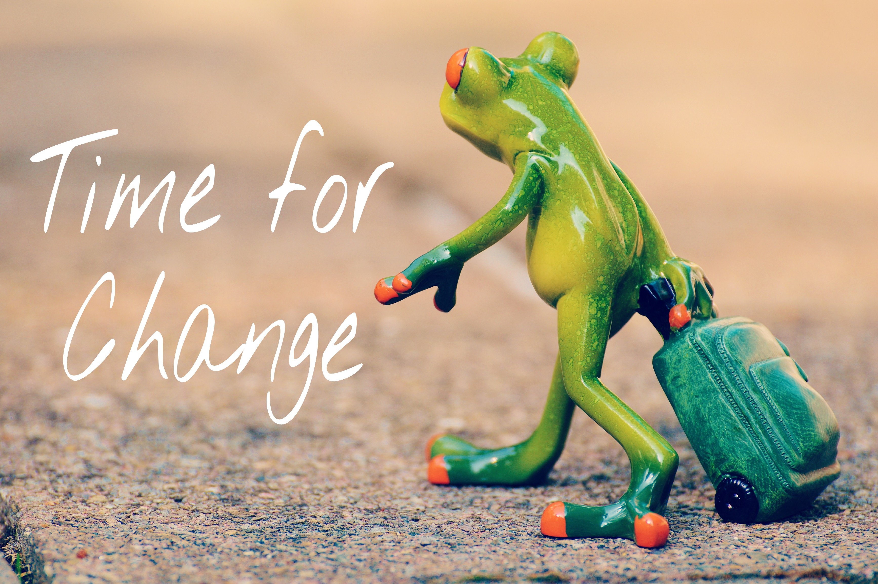text, holding, on the go, no people, travel, green, food and drink, time for a change, funny, cute, fun, luggage, courage, figurine, art and craft, sweet, HD Wallpaper