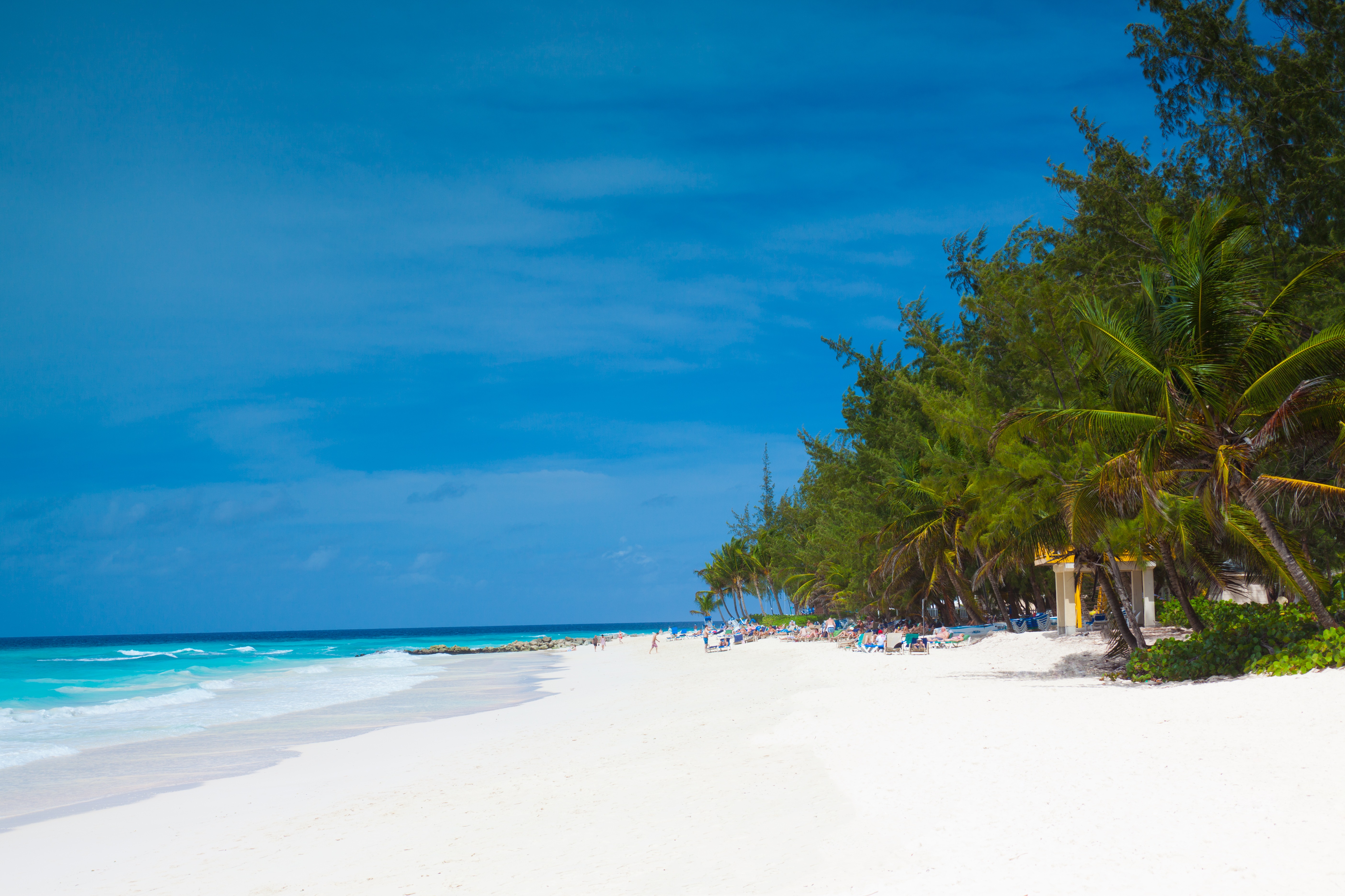 paradise, coast, blue, tropical climate, beauty in nature, land, island, turquoise colored, exotic, summer, nature, plant, growth, beach, scenics - nature, HD Wallpaper