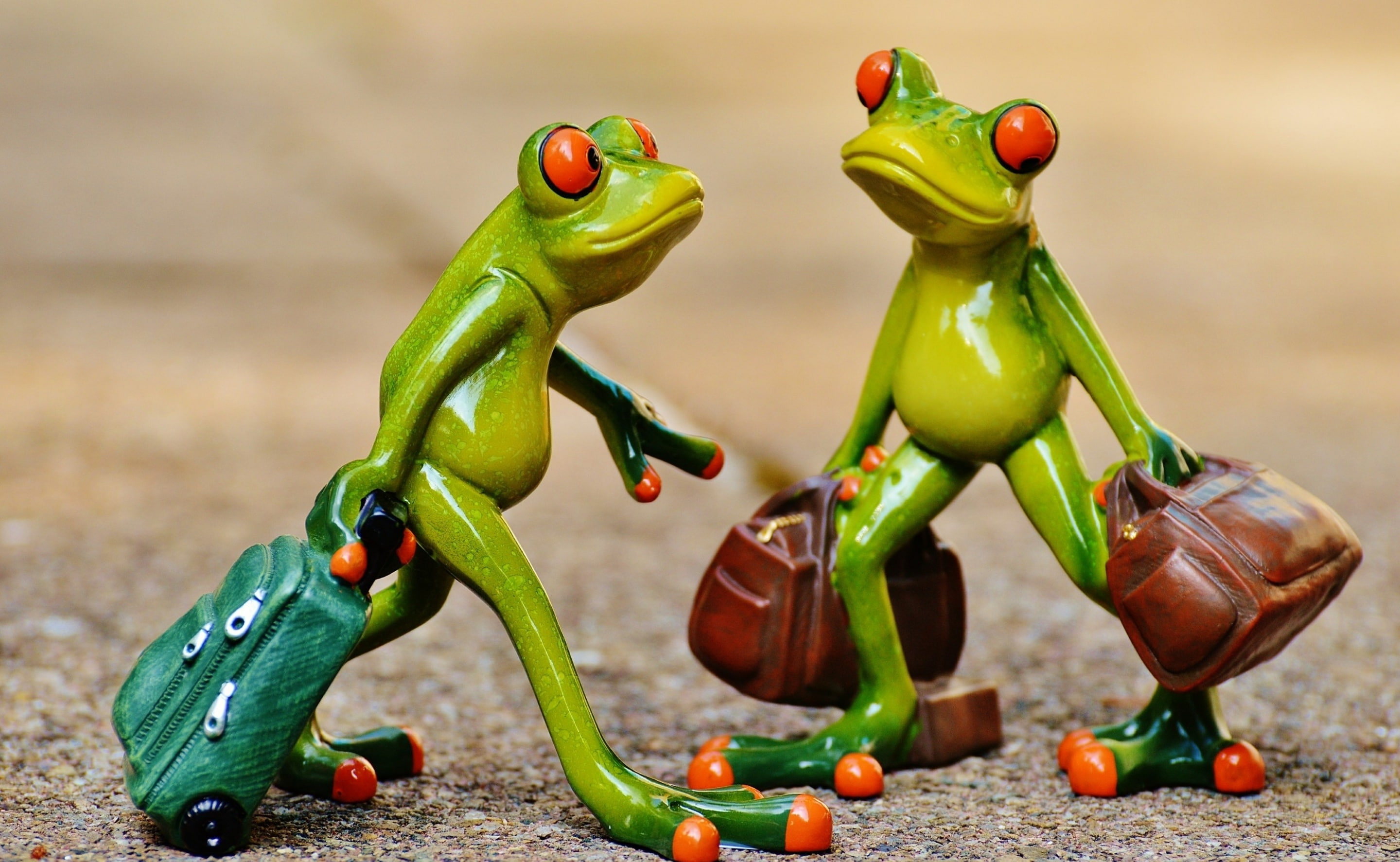 fruit, spice, close-up, wood - material, food, two, freshness, no people, vegetable, frog, Holdall, Travel, GoAway, healthy eating, table, representation, HD Wallpaper