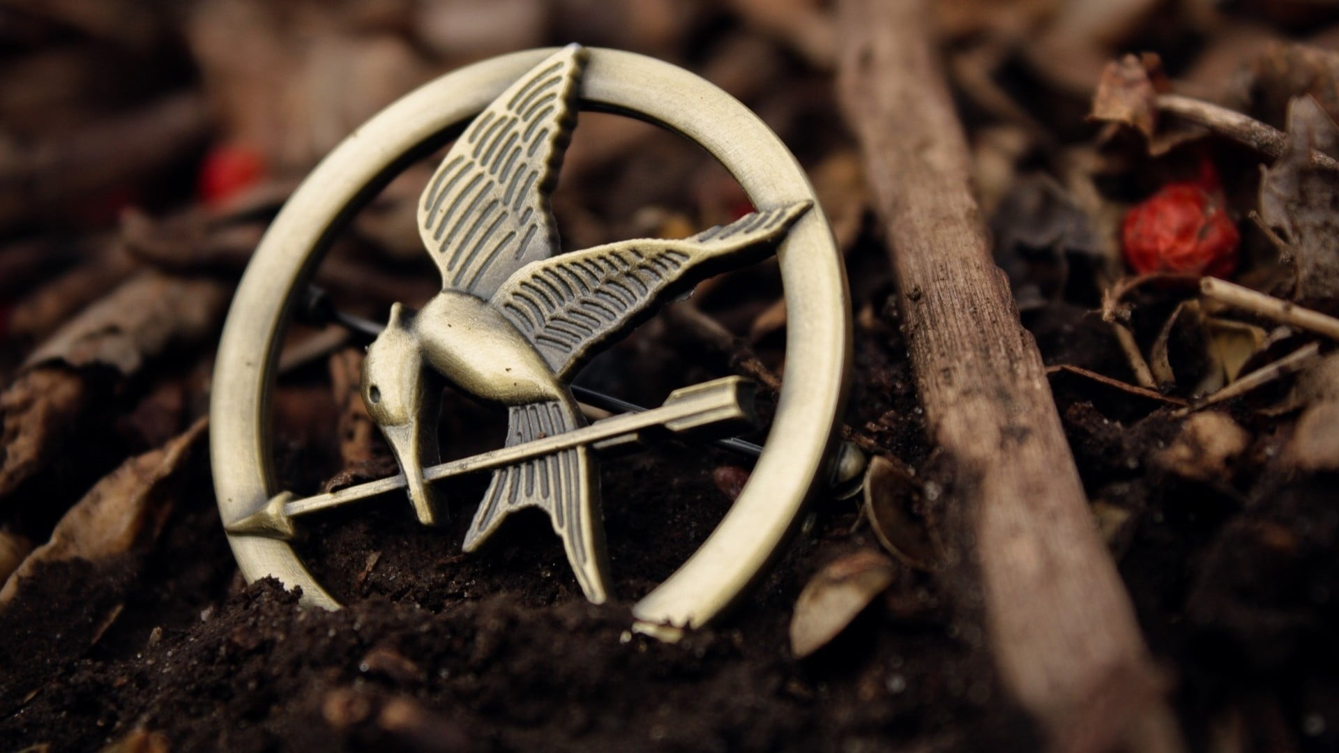 leaves, vegetable, food and drink, growth, selective focus, land, plant part, freshness, nature, plant, gardening, day, The Hunger Games, healthy eating, HD Wallpaper