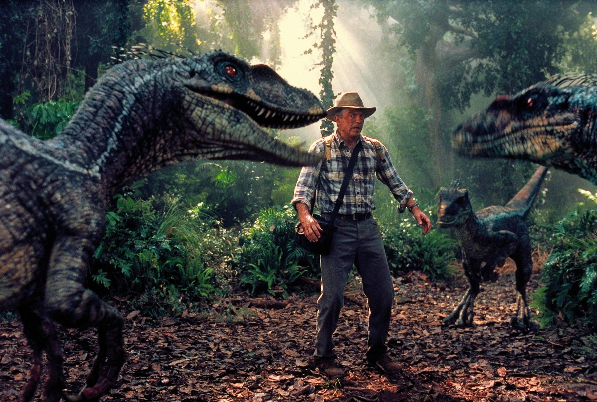 film, park, adventure, 1080P, fantasy, dinosaur, movie, sci fi, jurassic, HD Wallpaper